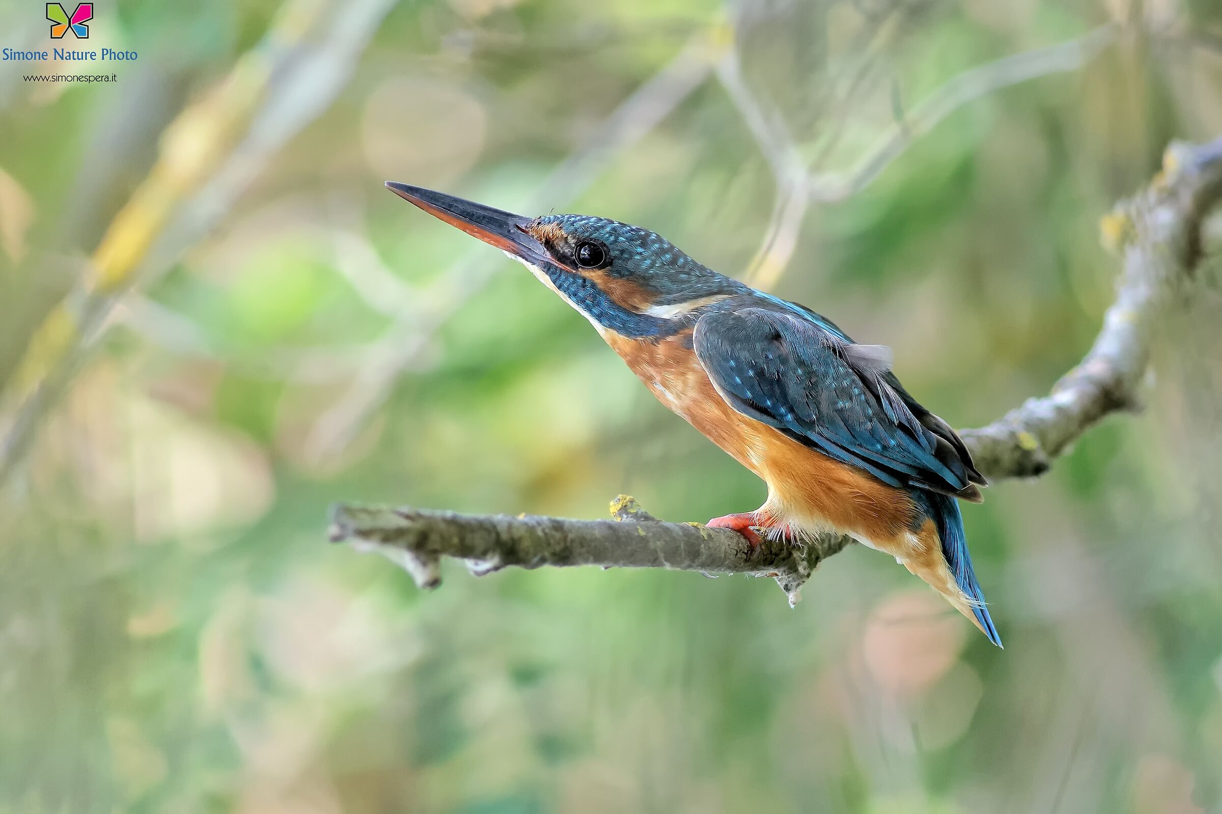 Martin...rampa di lancio...