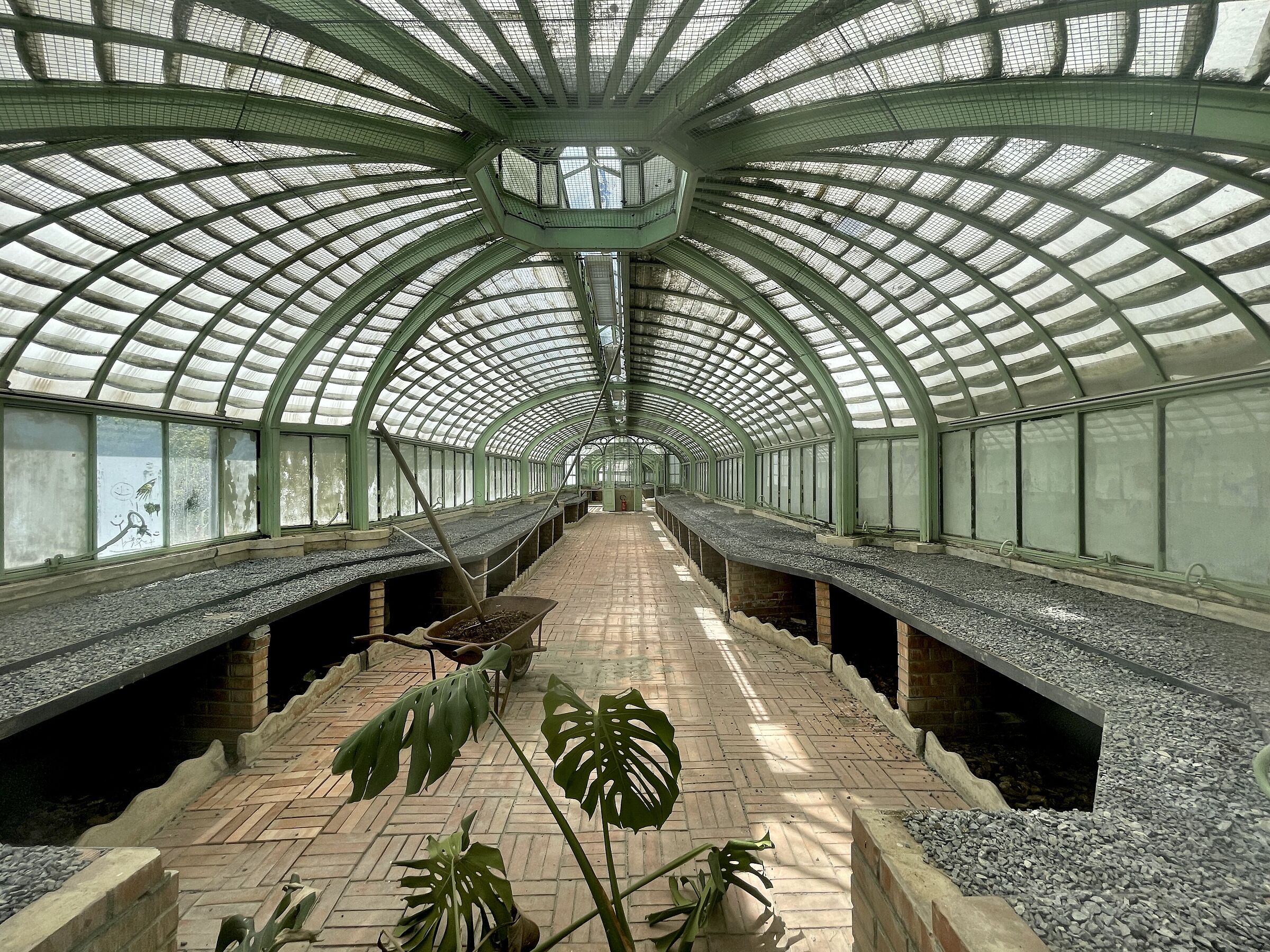 The greenhouse of the boys of Via Pal