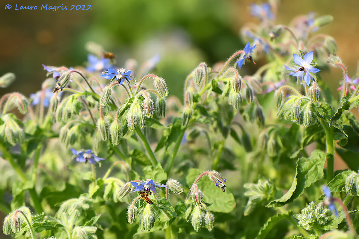 Who you search for finds