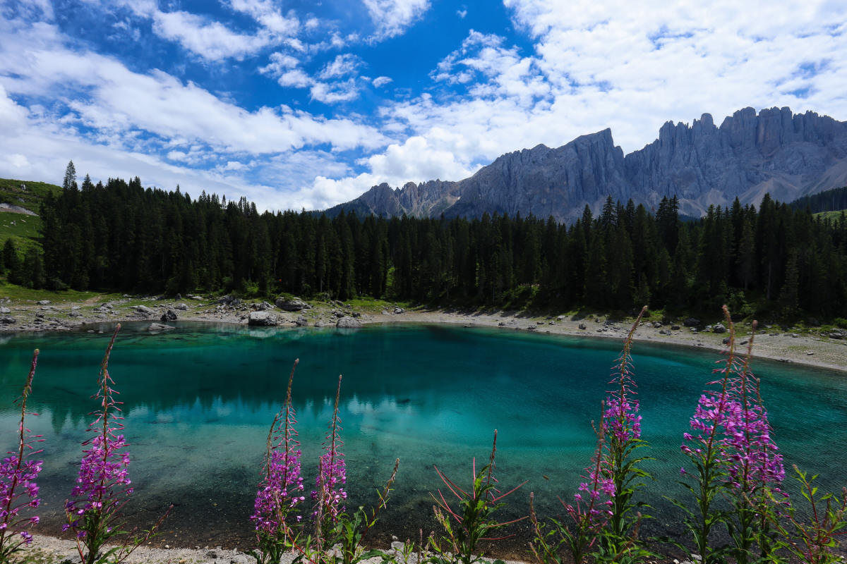 Carezza