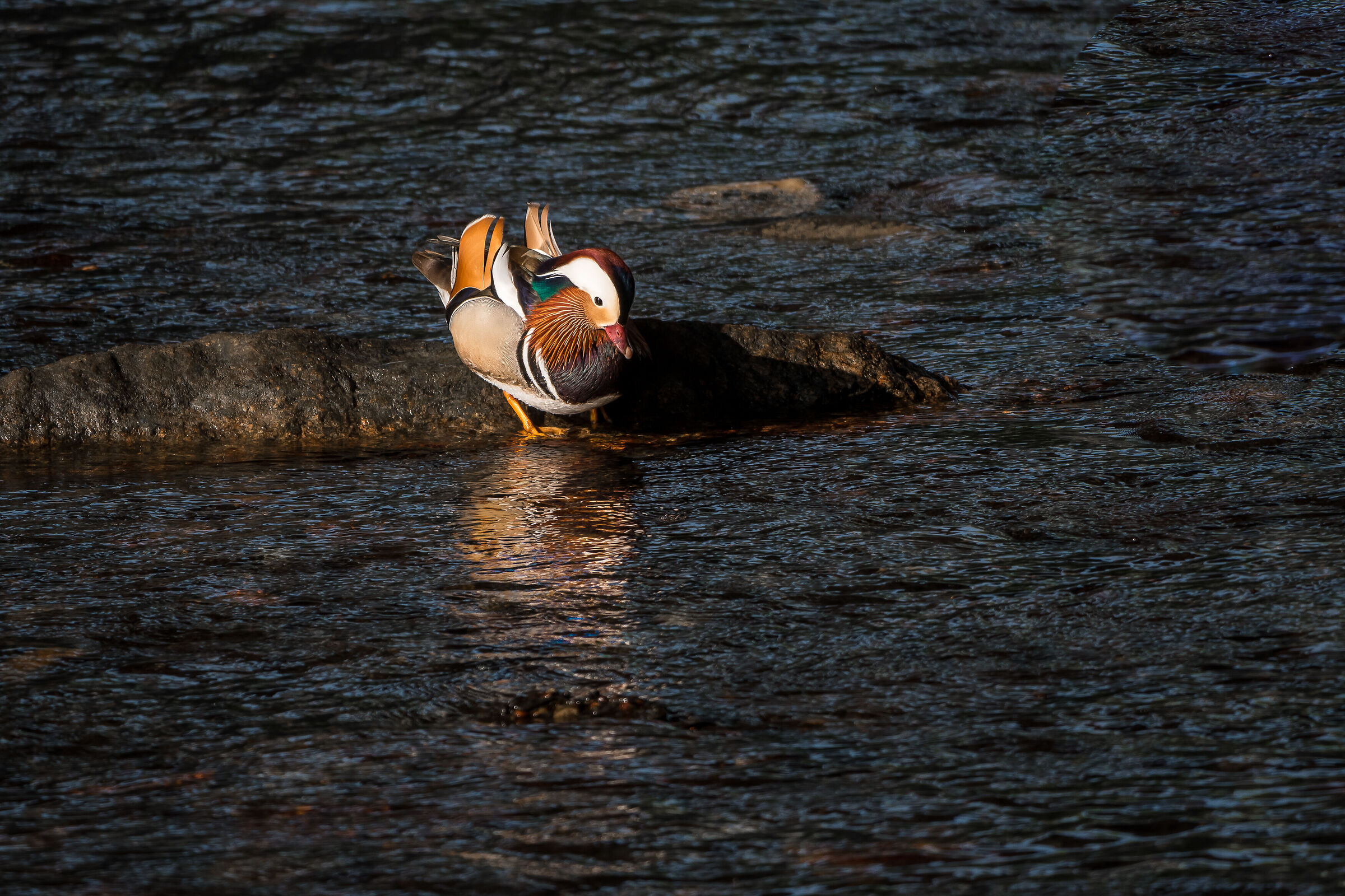 a moment of hesitation ....