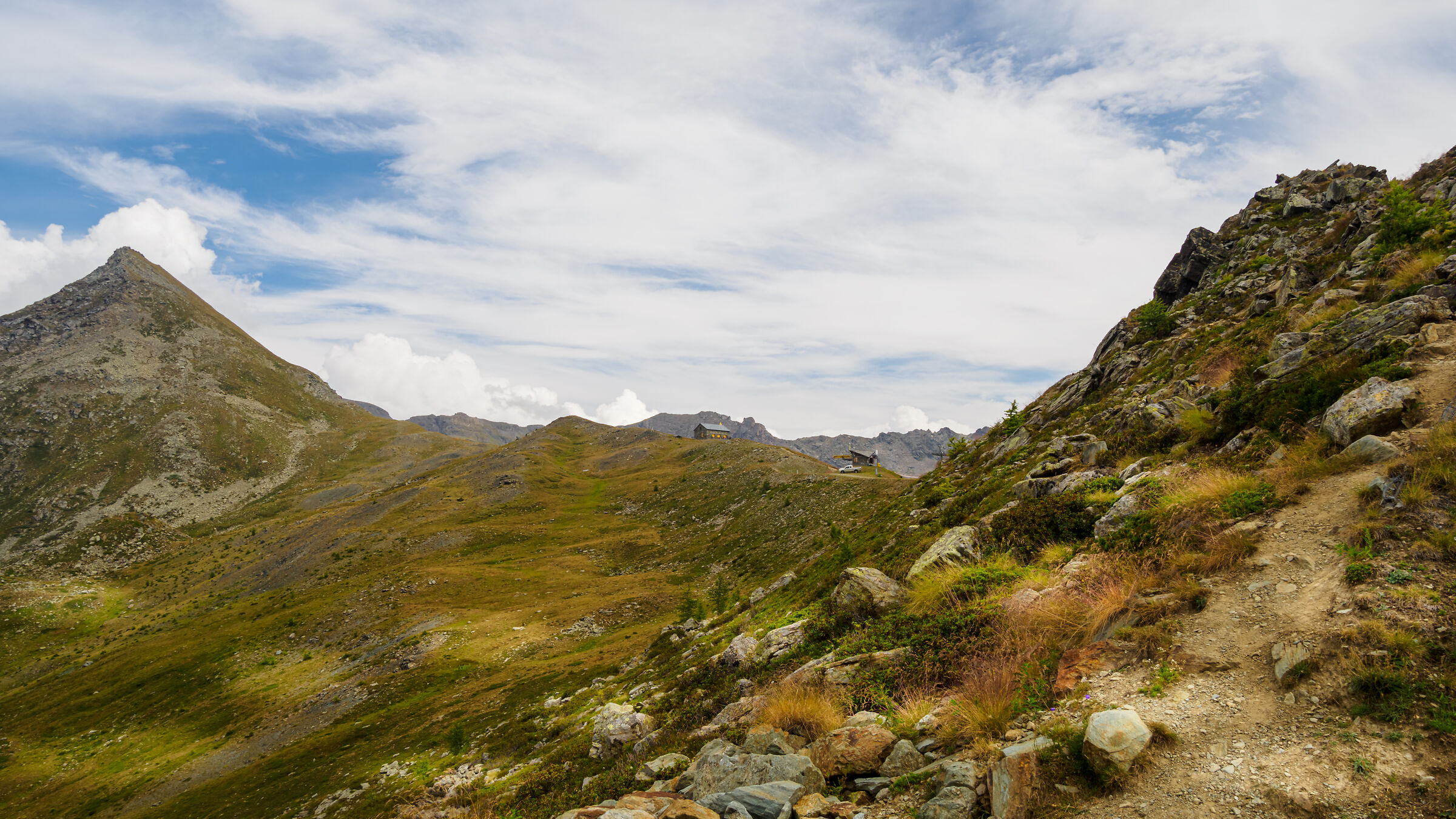 Chamois(ao)