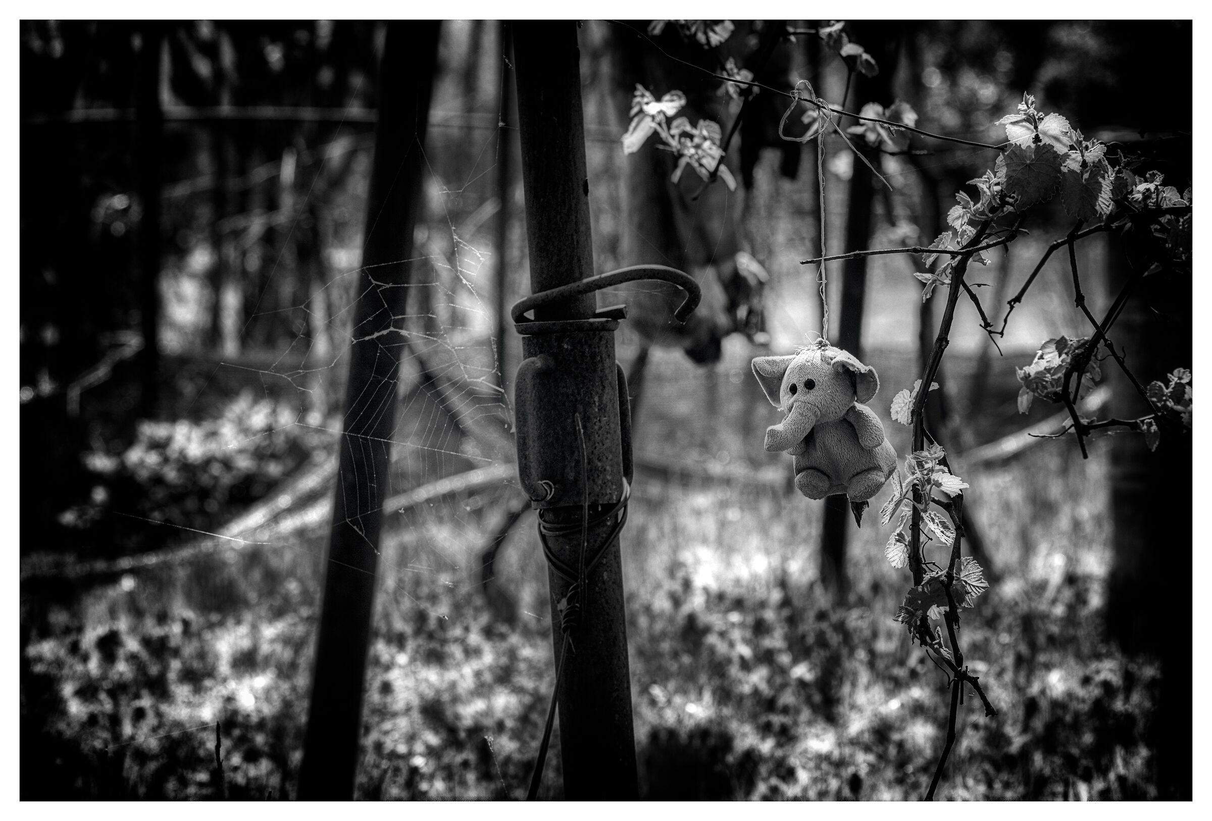 The Garden of Dead Toys I