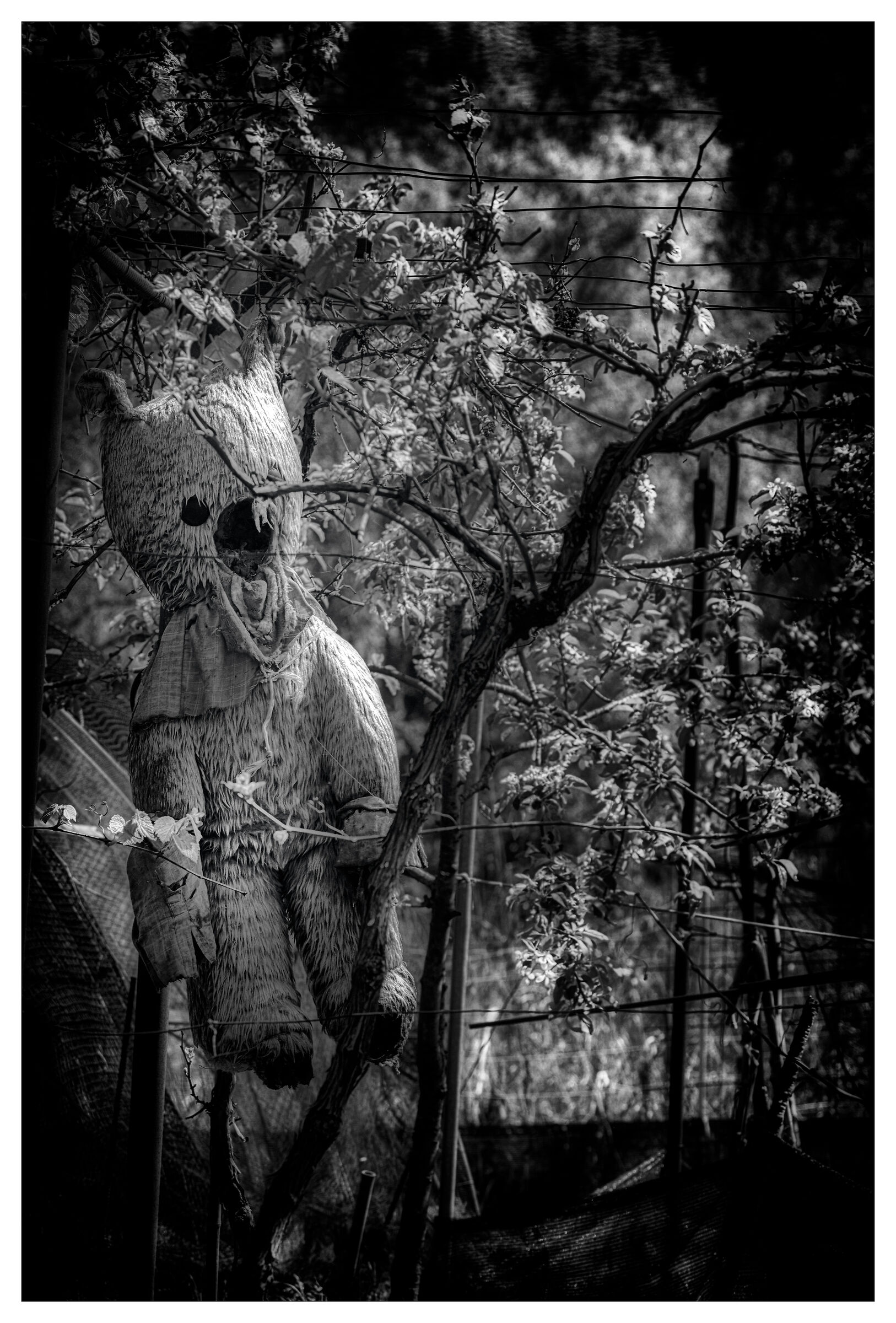 The Garden of Dead Toys II