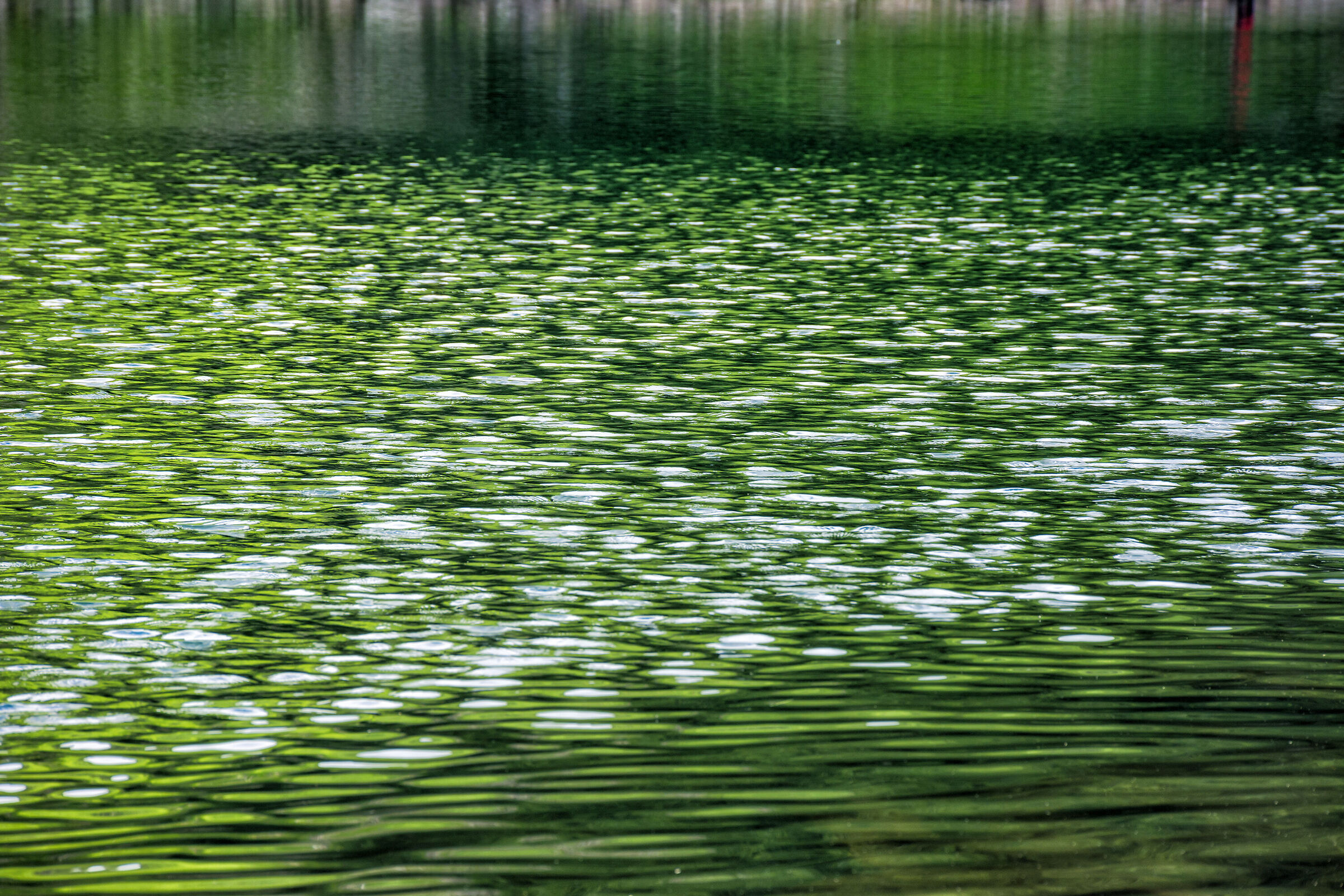 Play of light on Lake Palo
