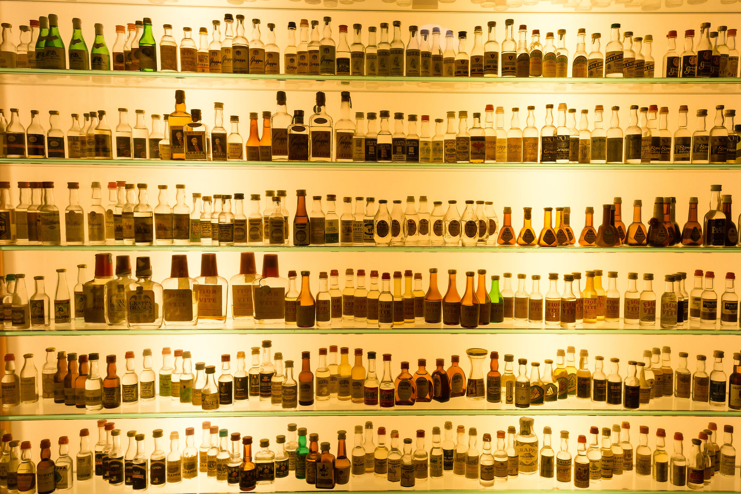 C'era una volta il mignon