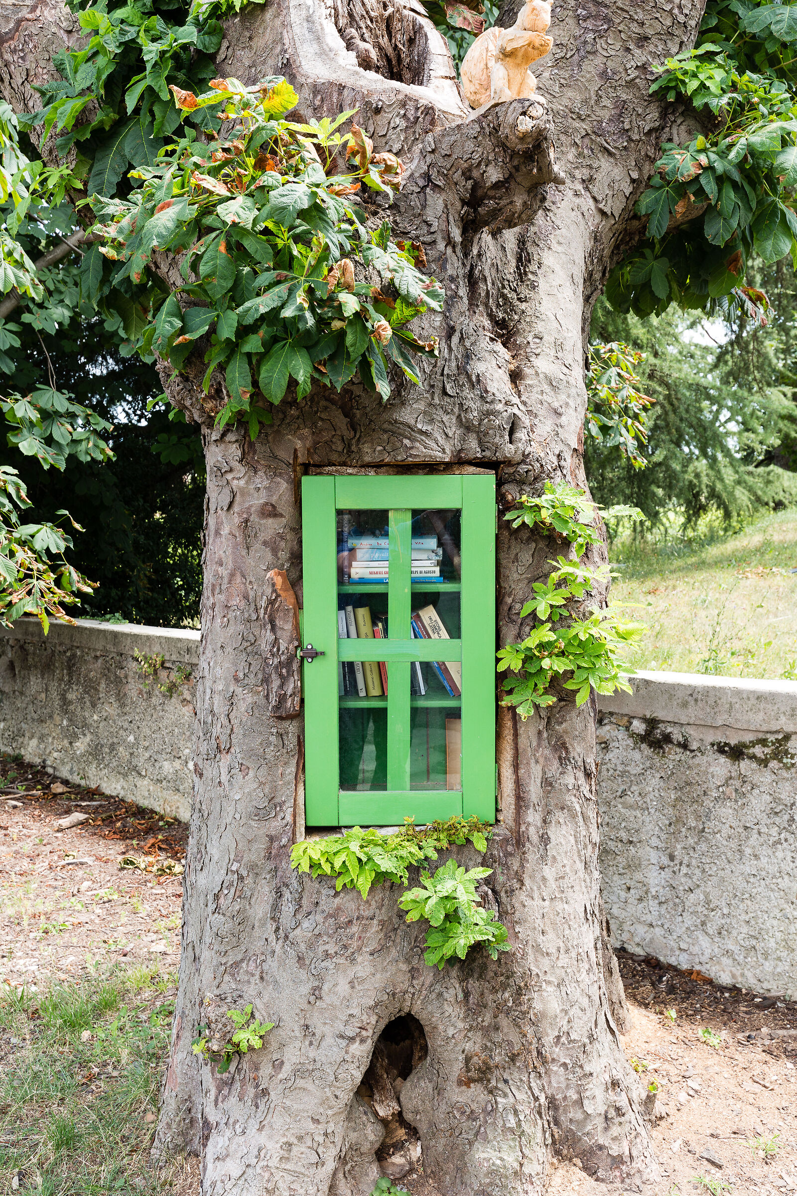 L'albero della conoscenza
