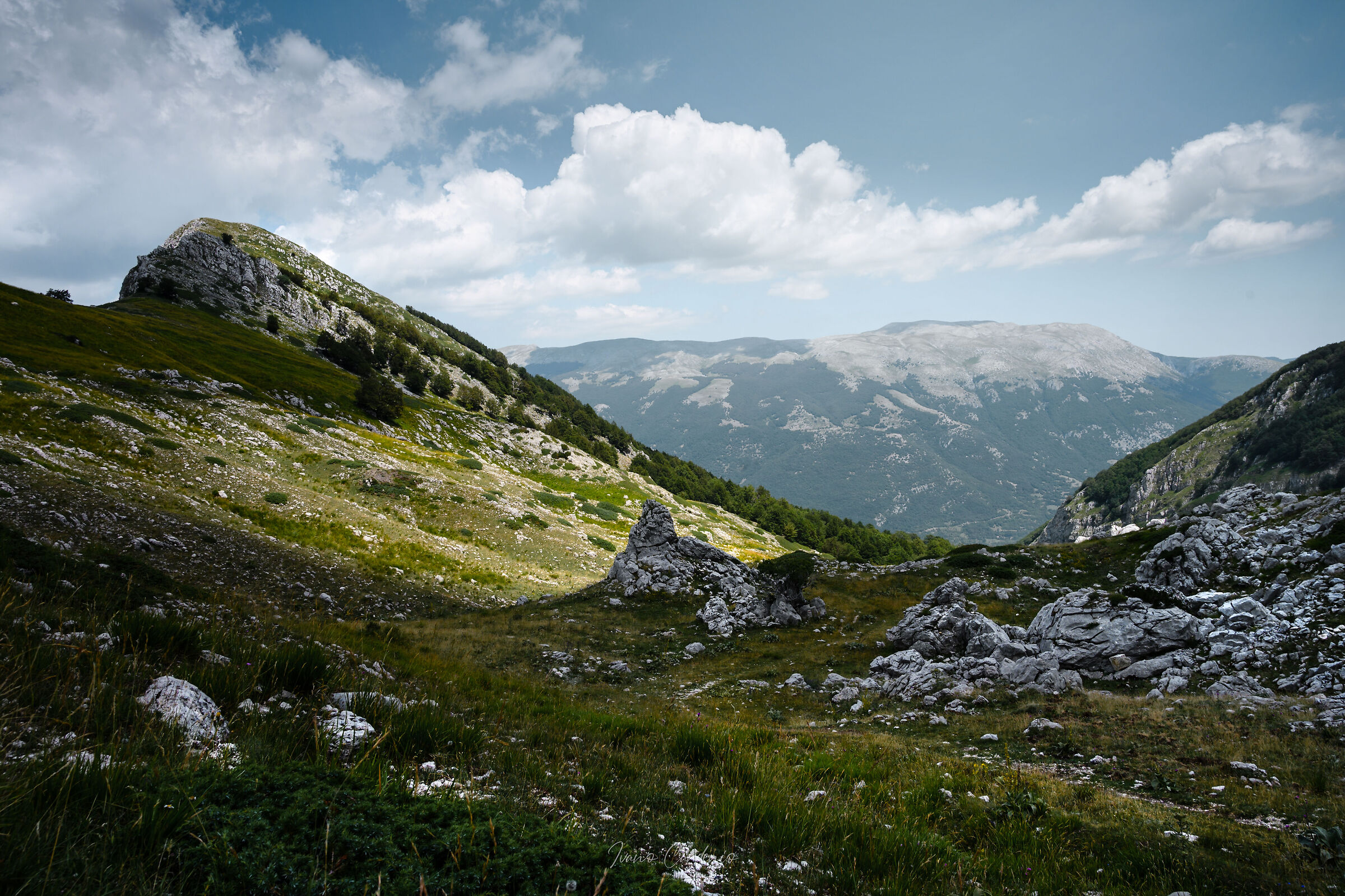 On the peaks of Pnalm