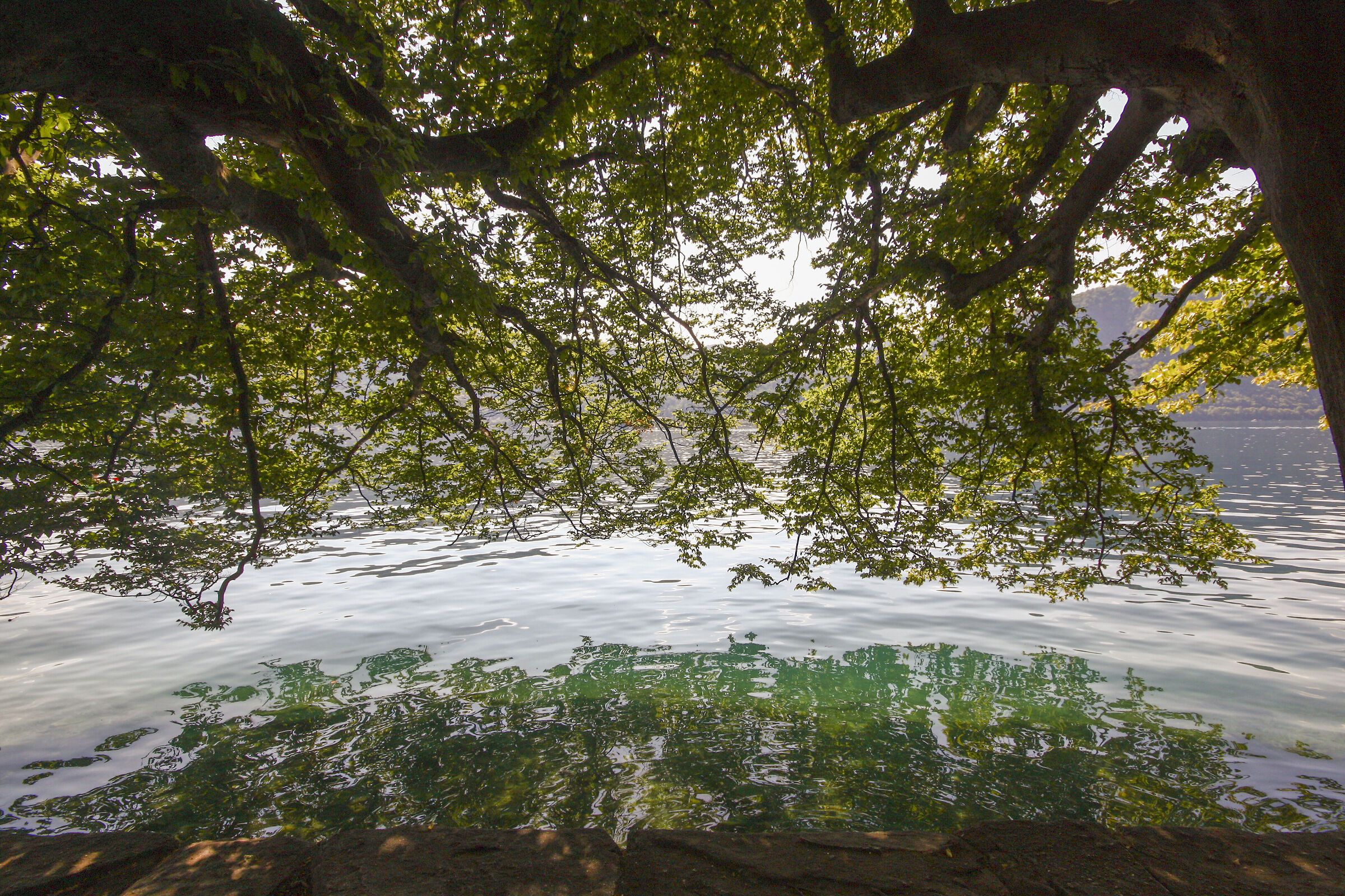 Lago