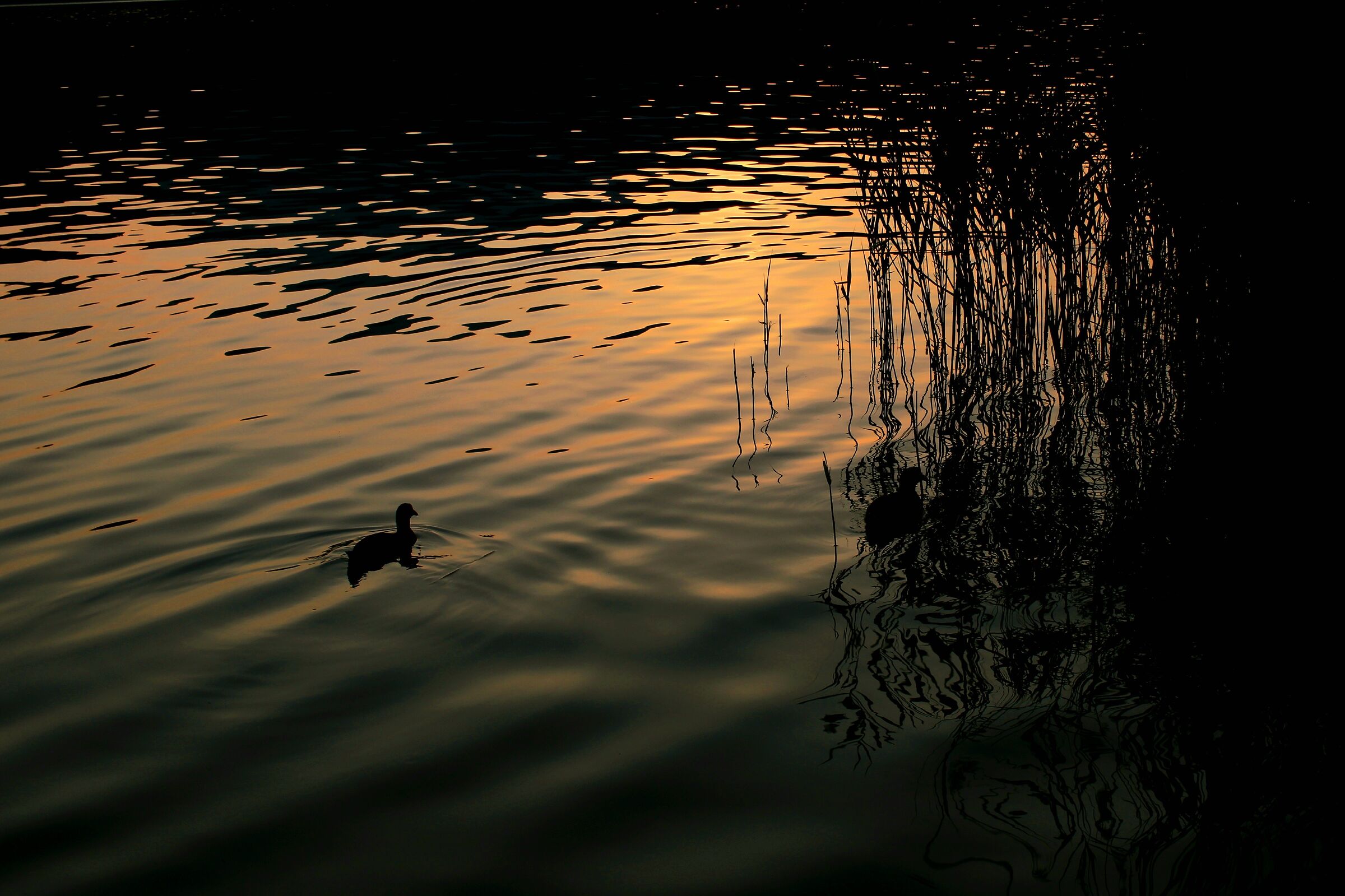 Copper Lake