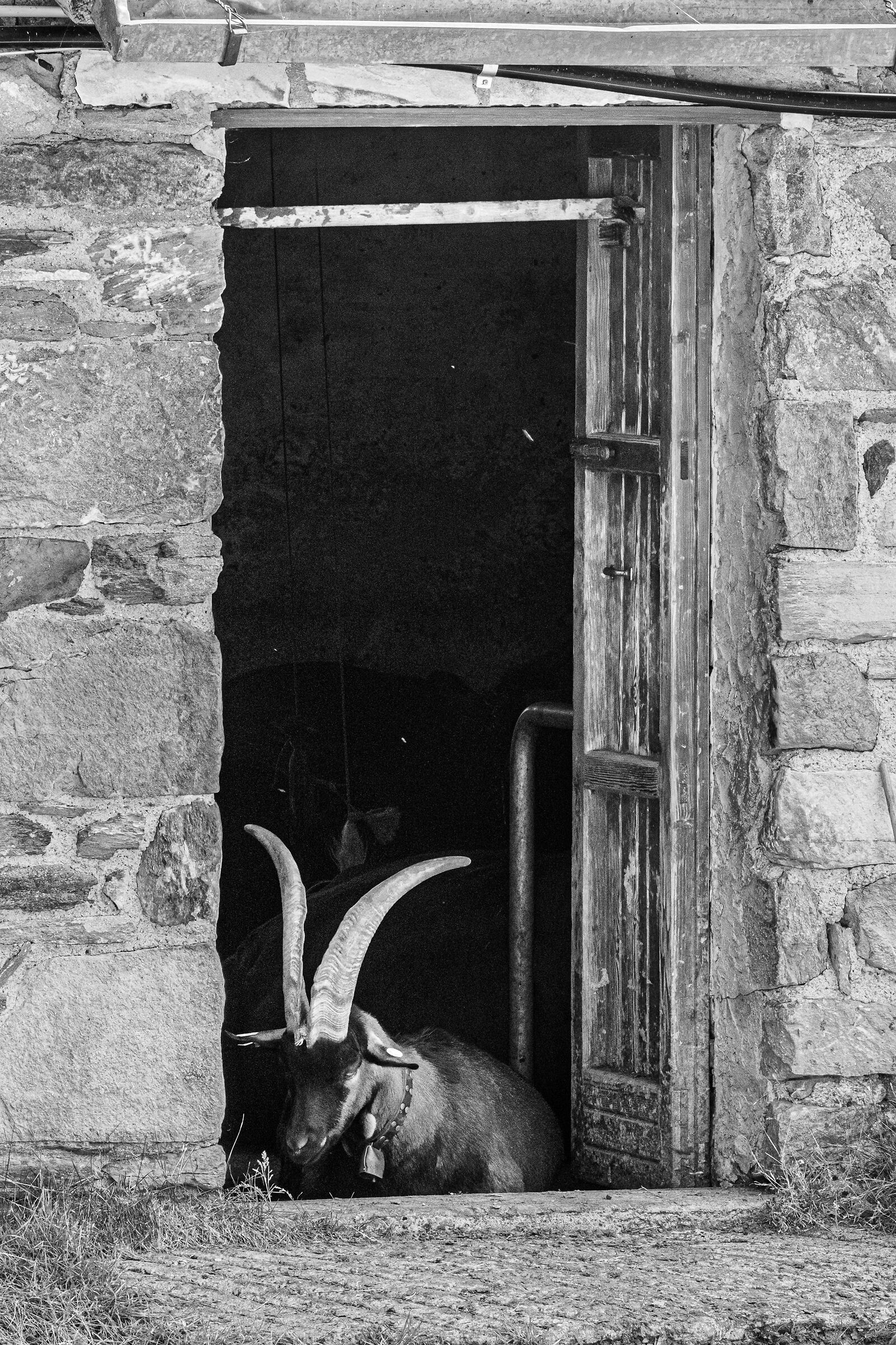 Don't open that door!