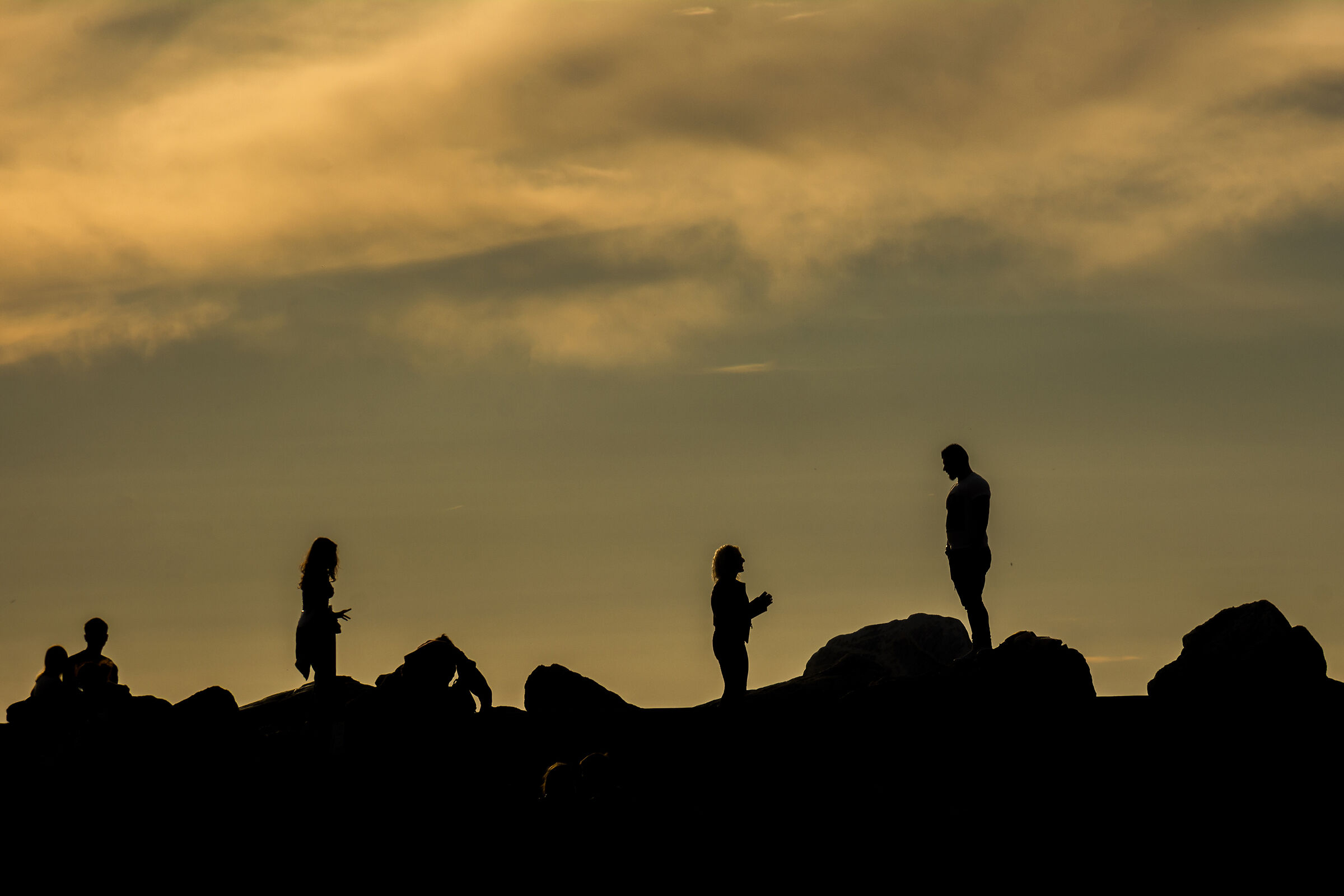 Silhouettes al tramonto