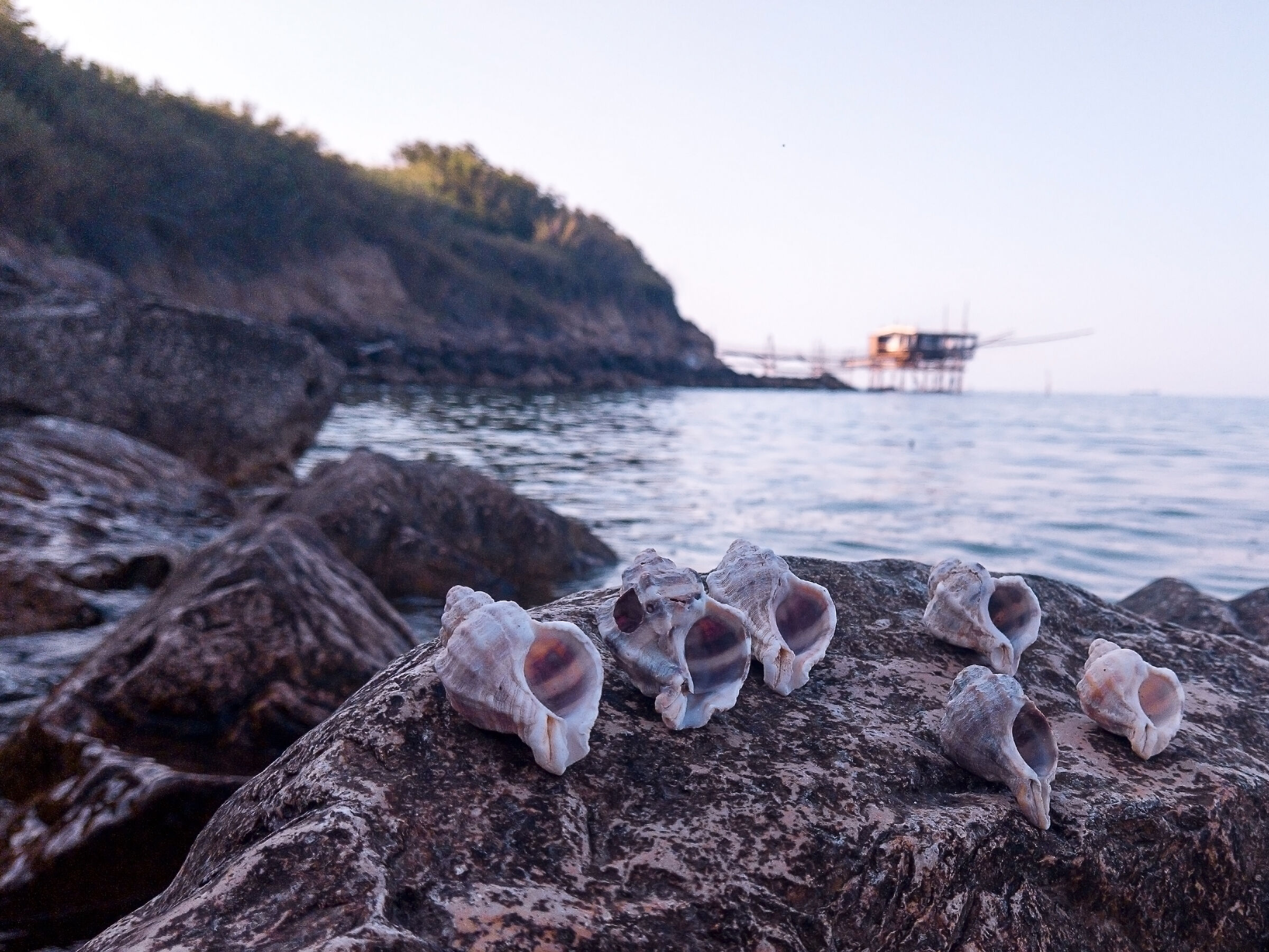 Hotel Sea View for Paguri