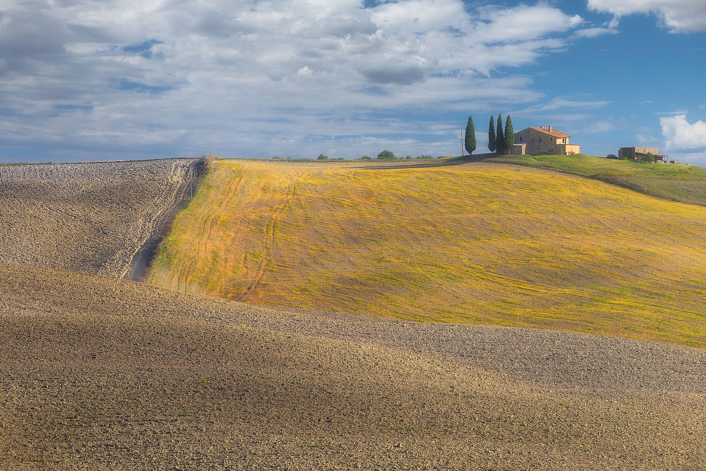 Tuscan Contrasts