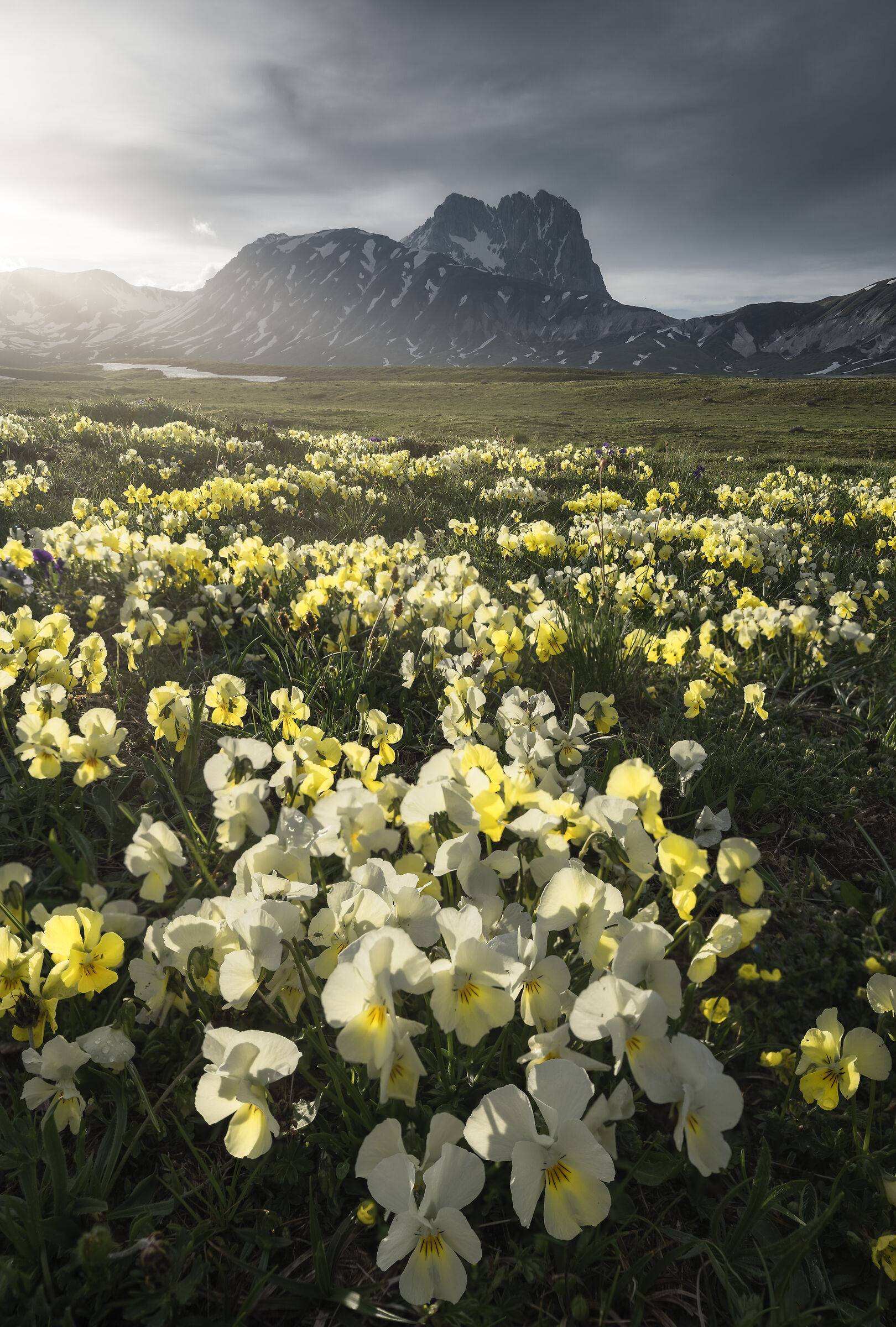 La luce dopo la pioggia