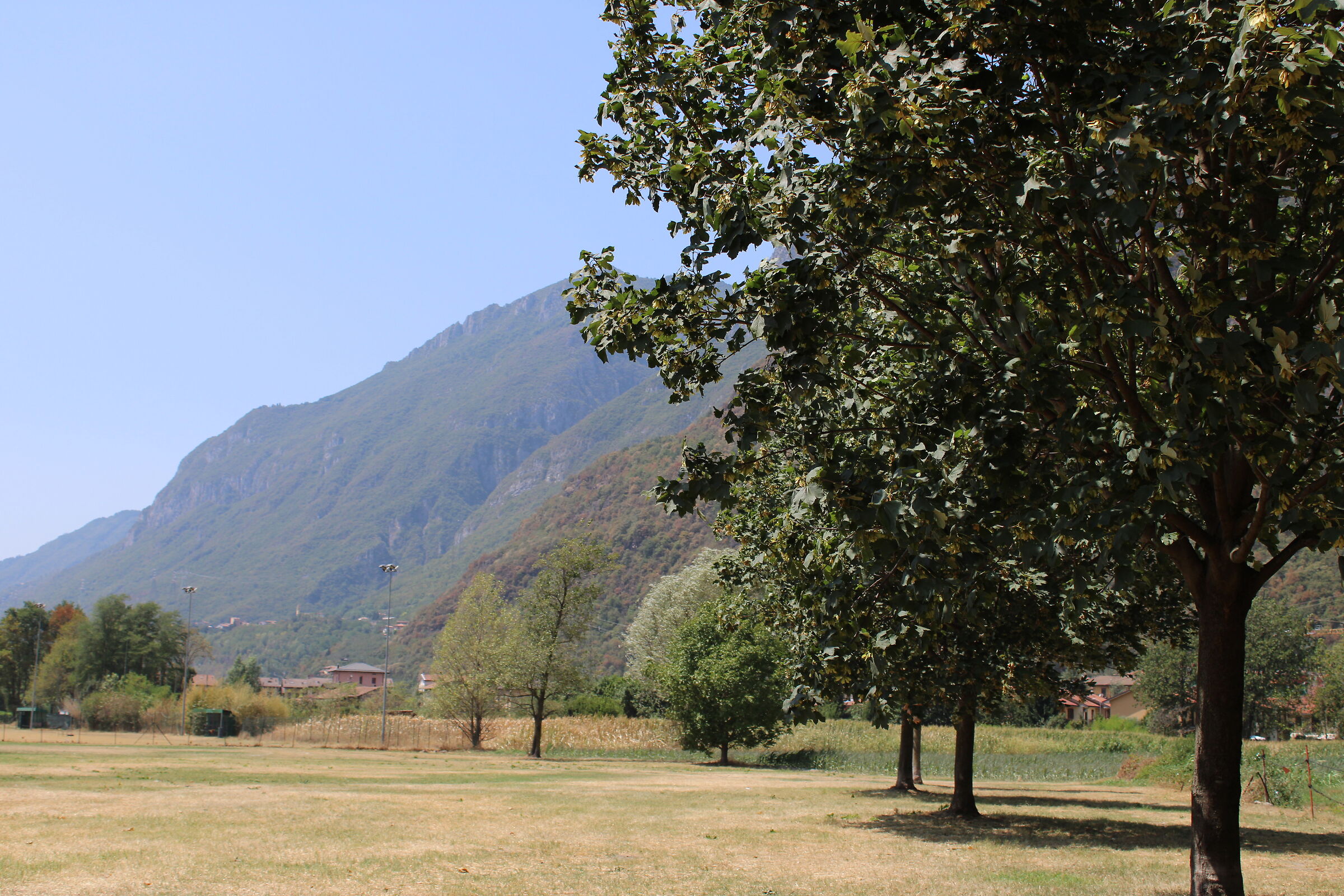 Rogno Park