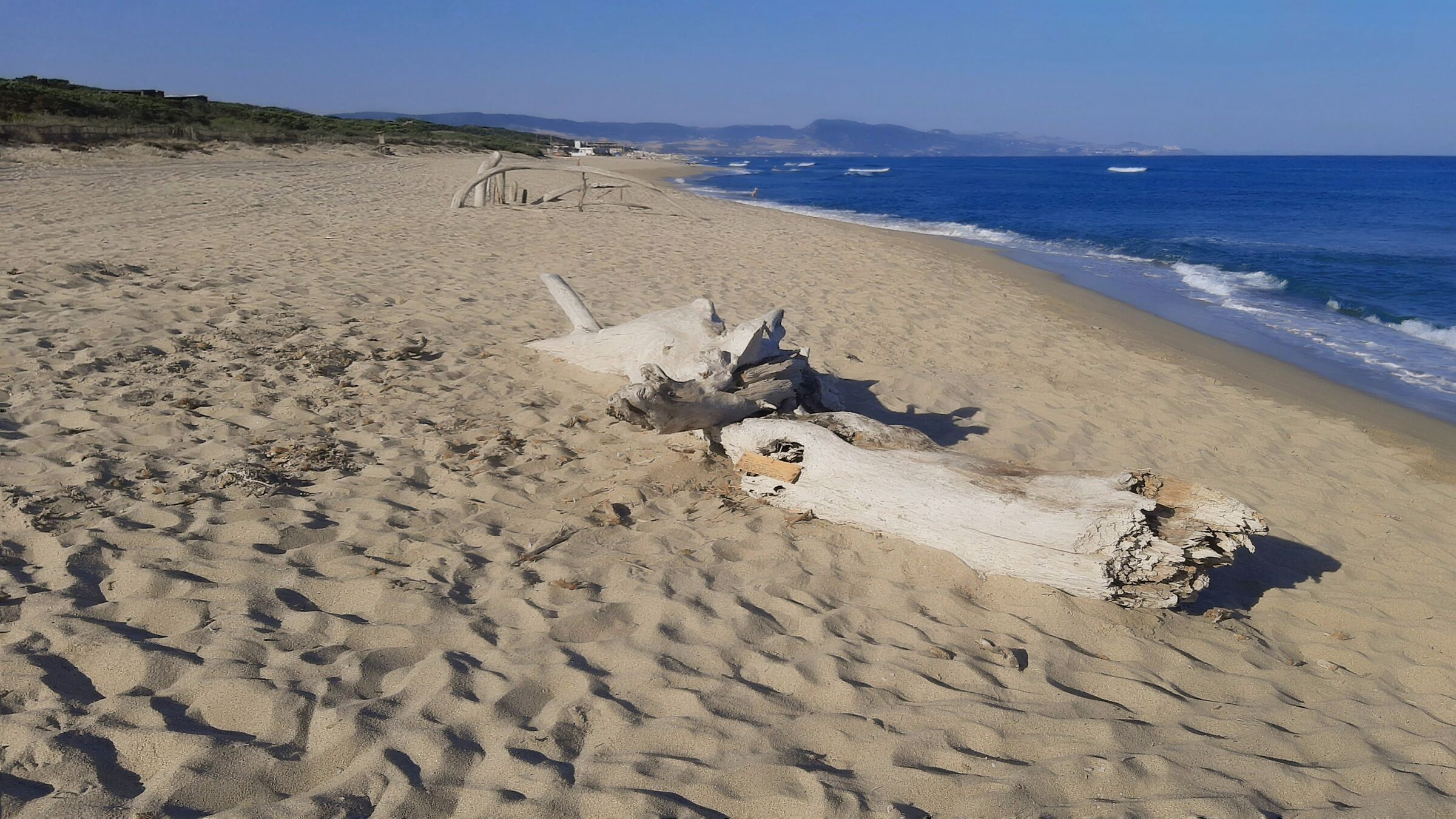 Saluti dall' "affollatissima" Sardegna ...