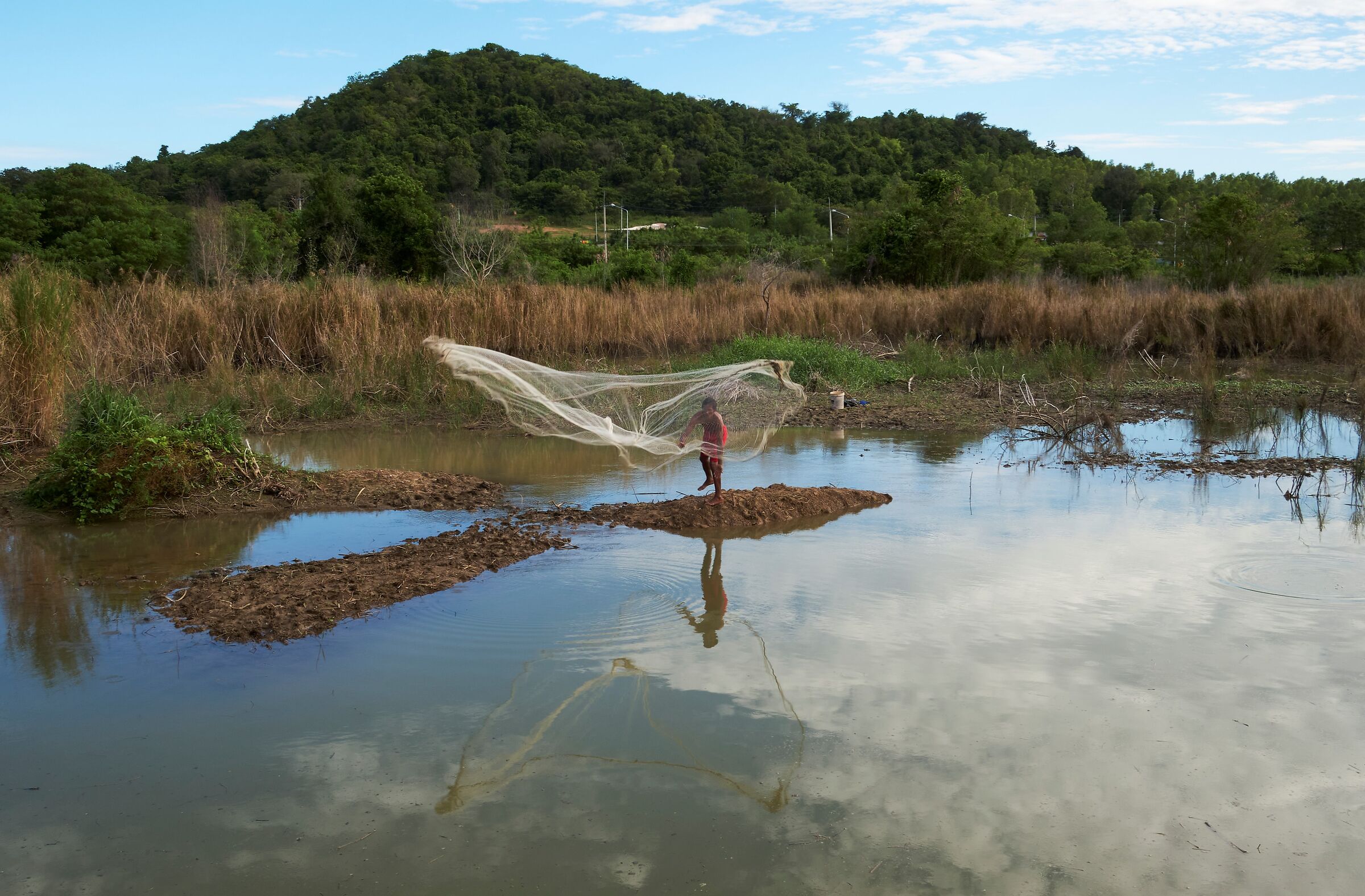 Il pescatore di palude