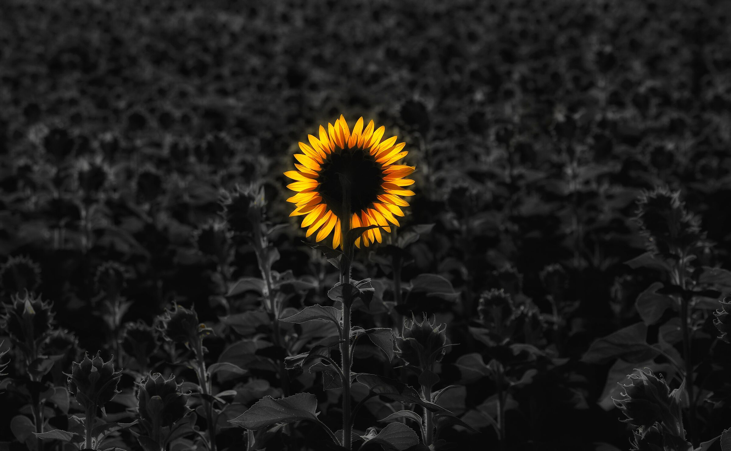 There is always the first.