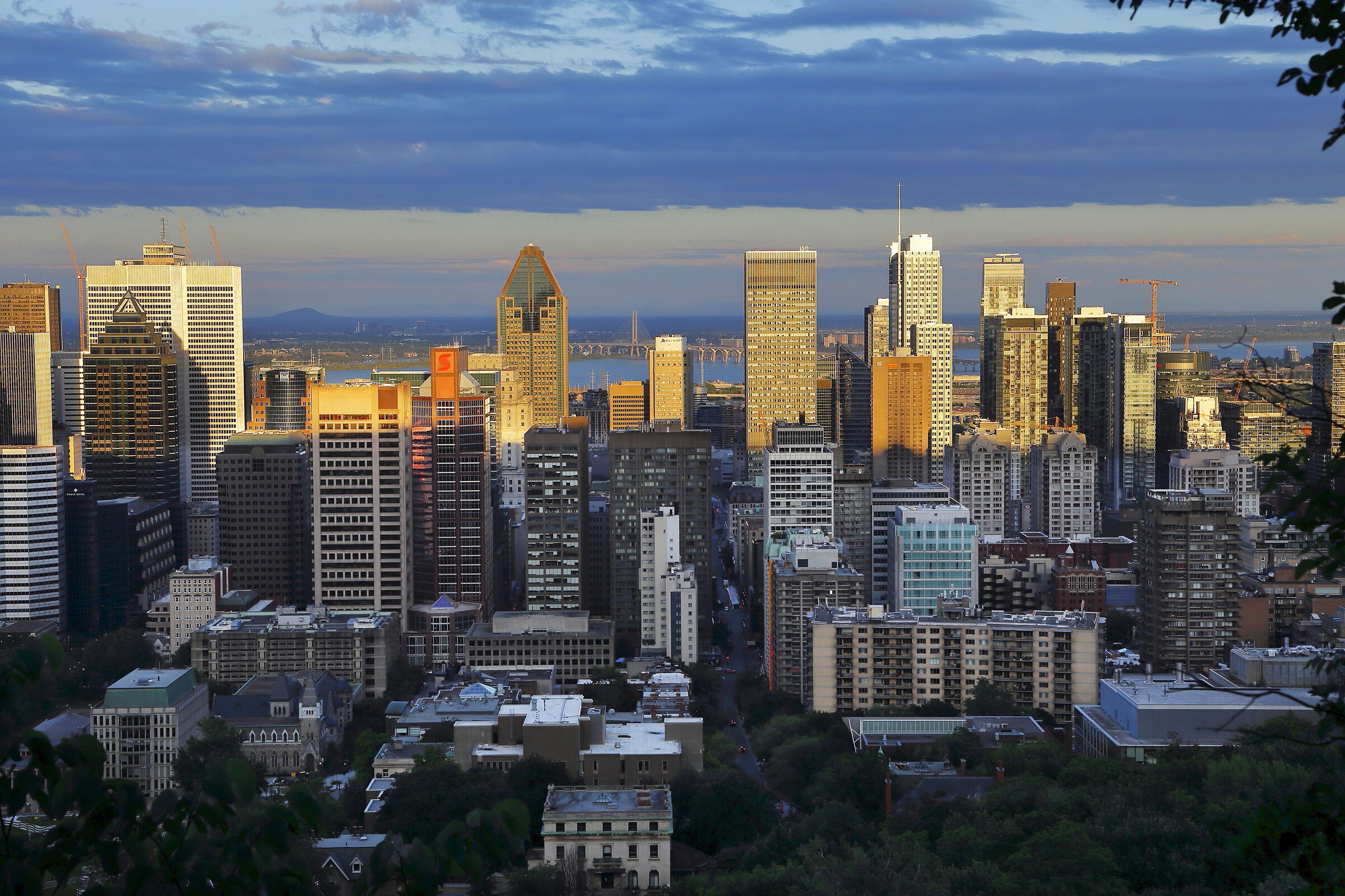The City