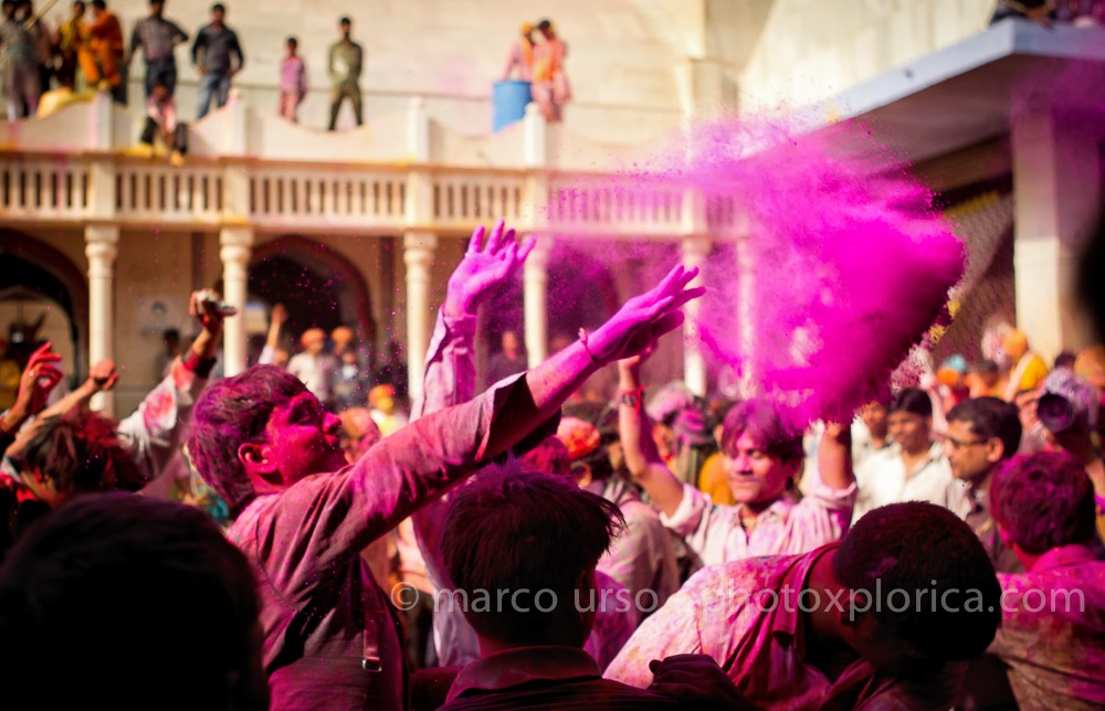 Holi Festival 2013