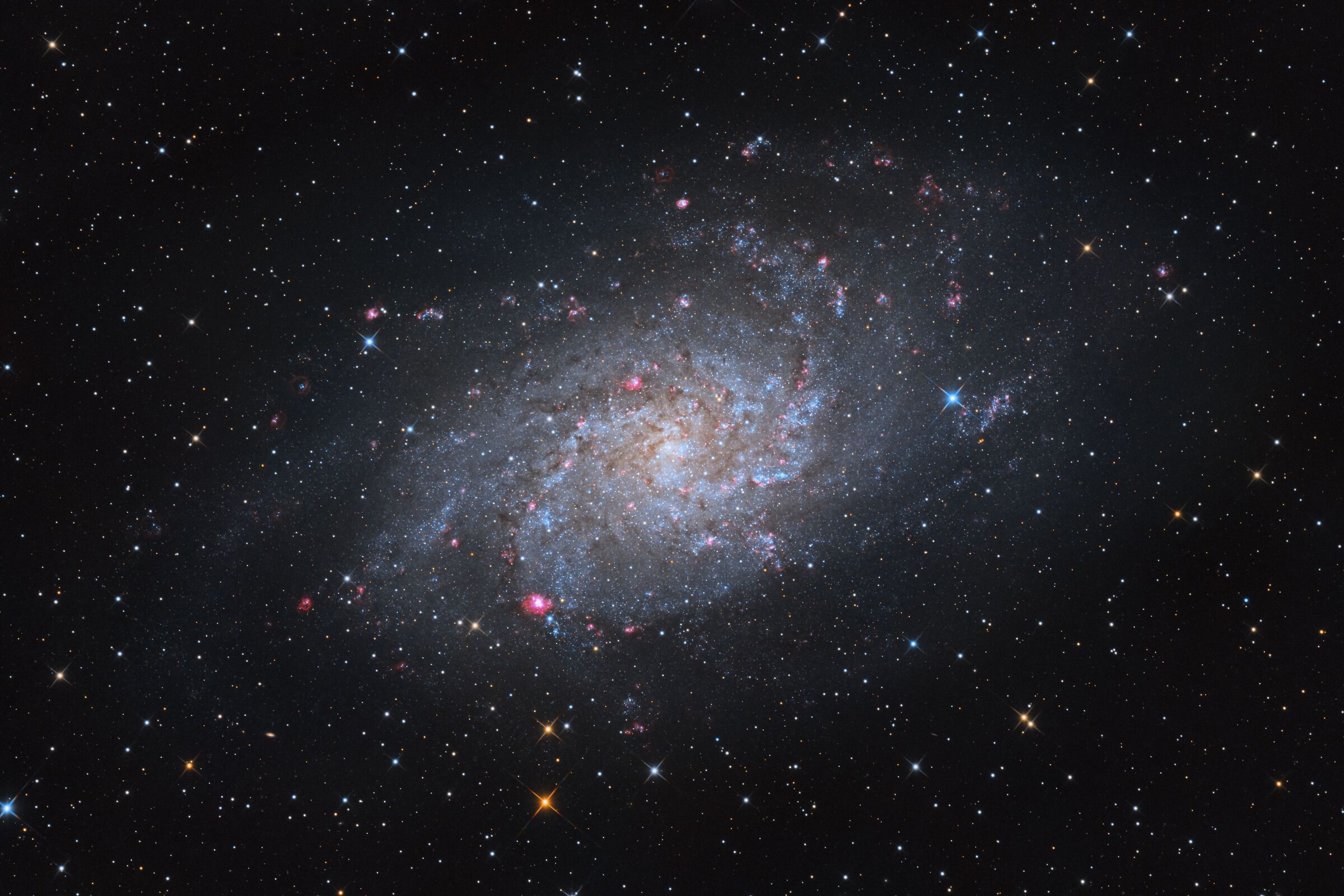 Galassia del Triangolo