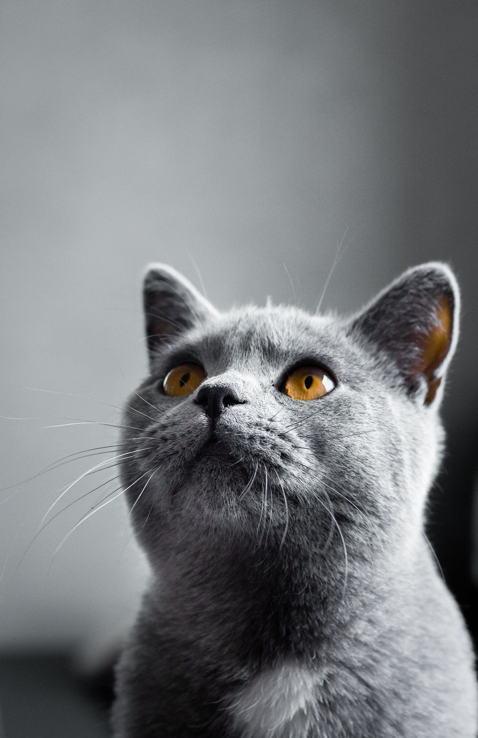 What's there?