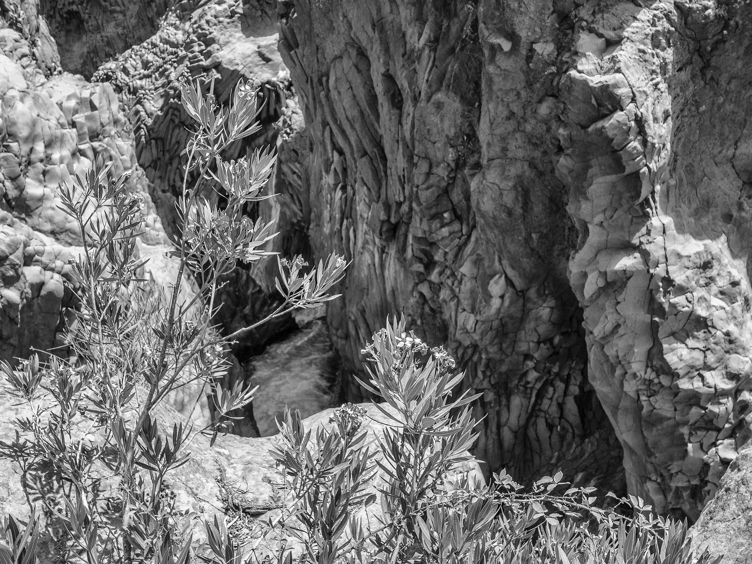 Gole dell'Alcantara 2