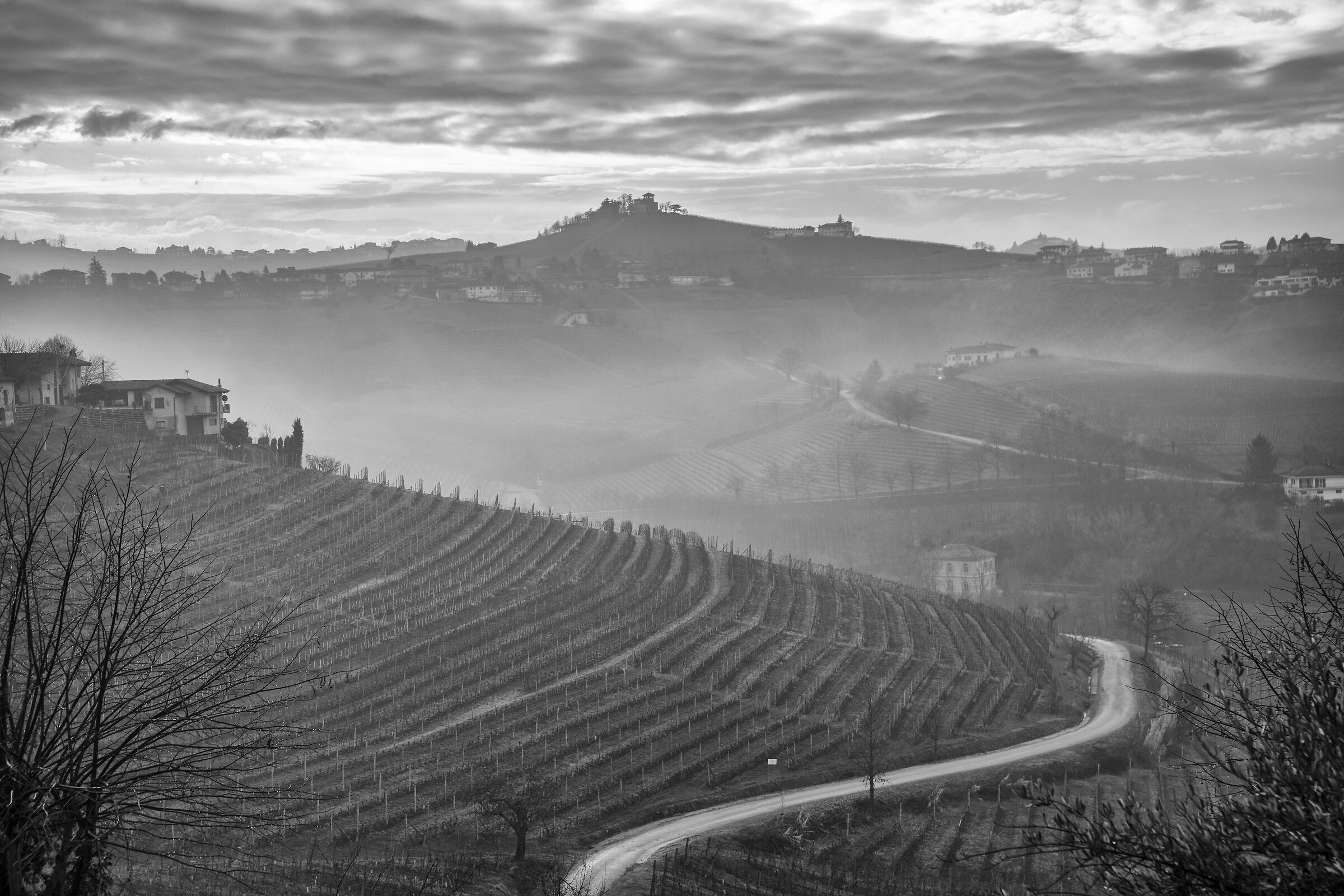 Langhe 1
