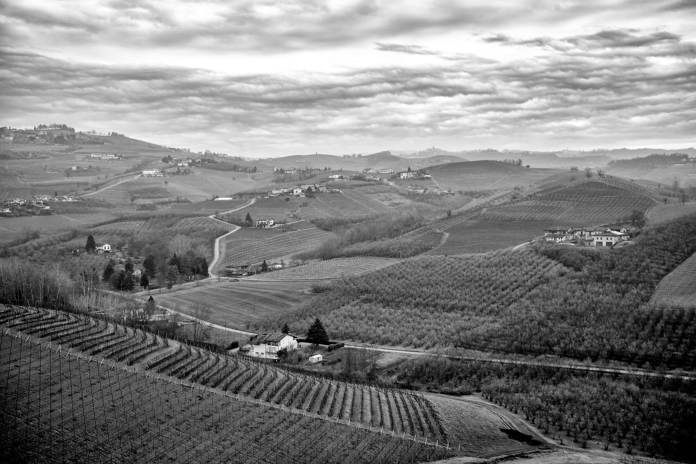 Langhe 5