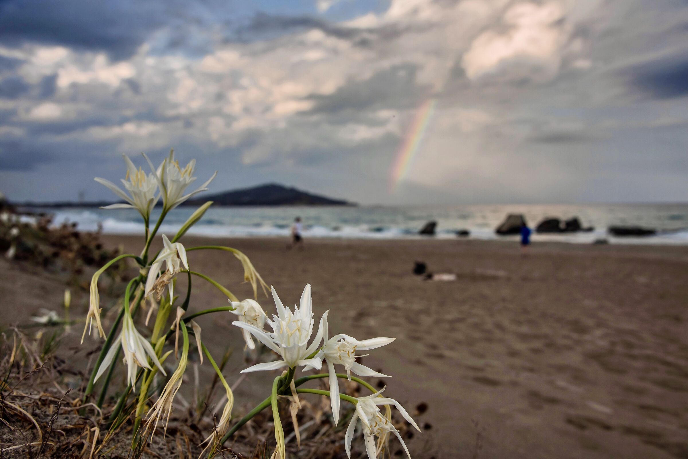 Moments of late summer