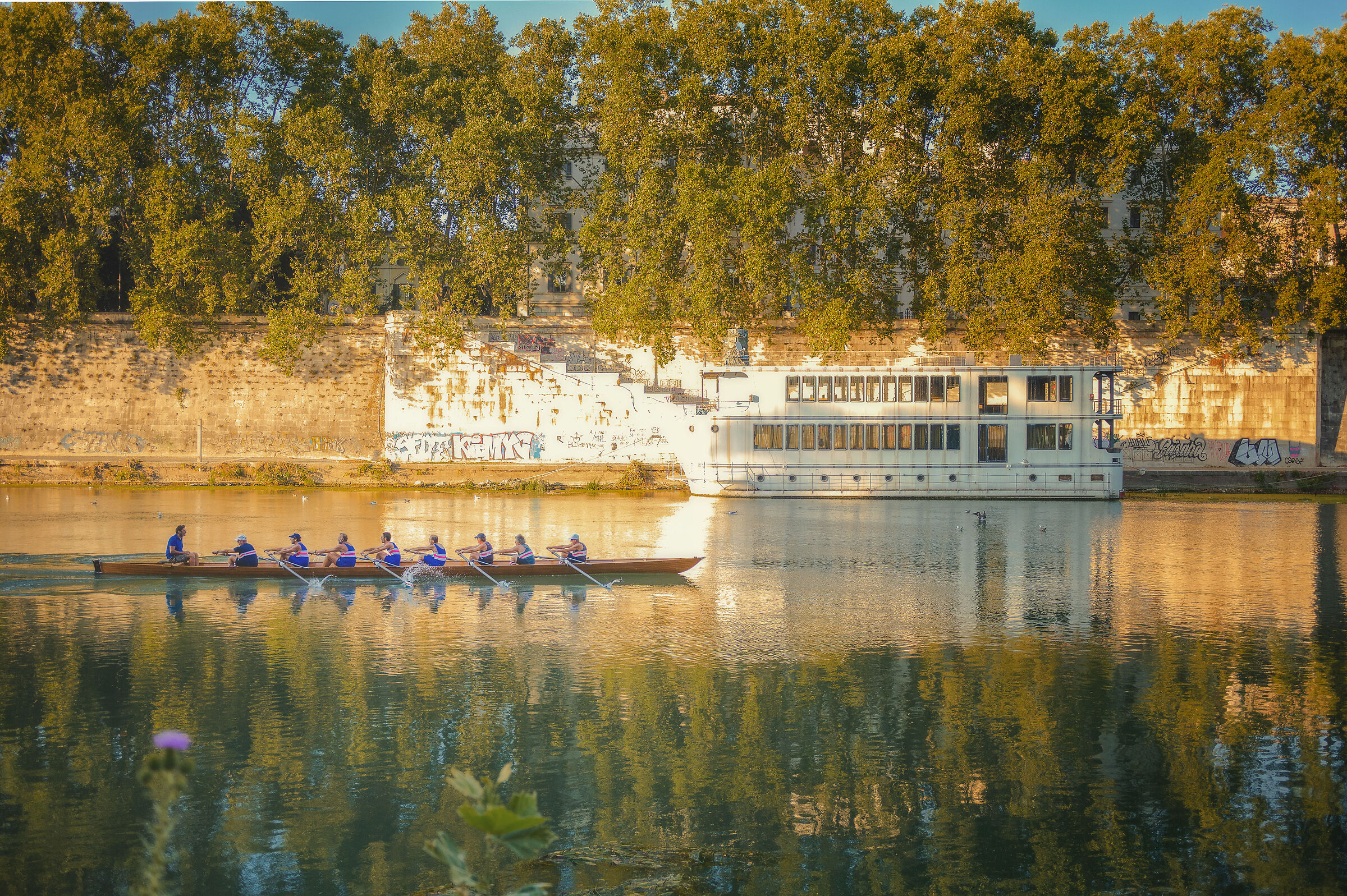 On the Tiber