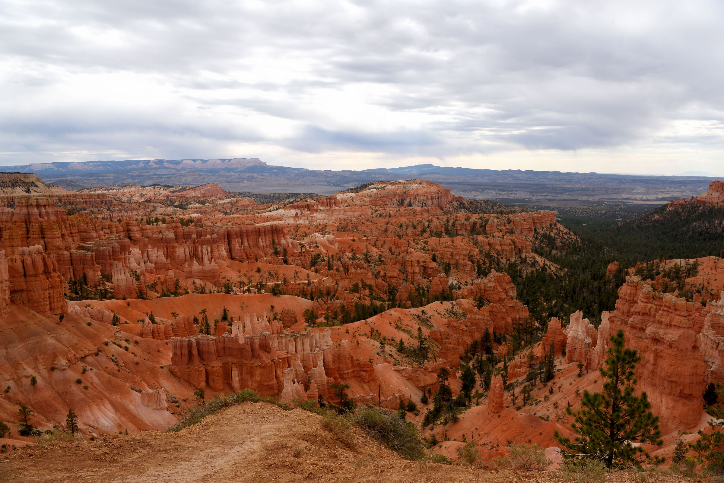 Bryce canyon