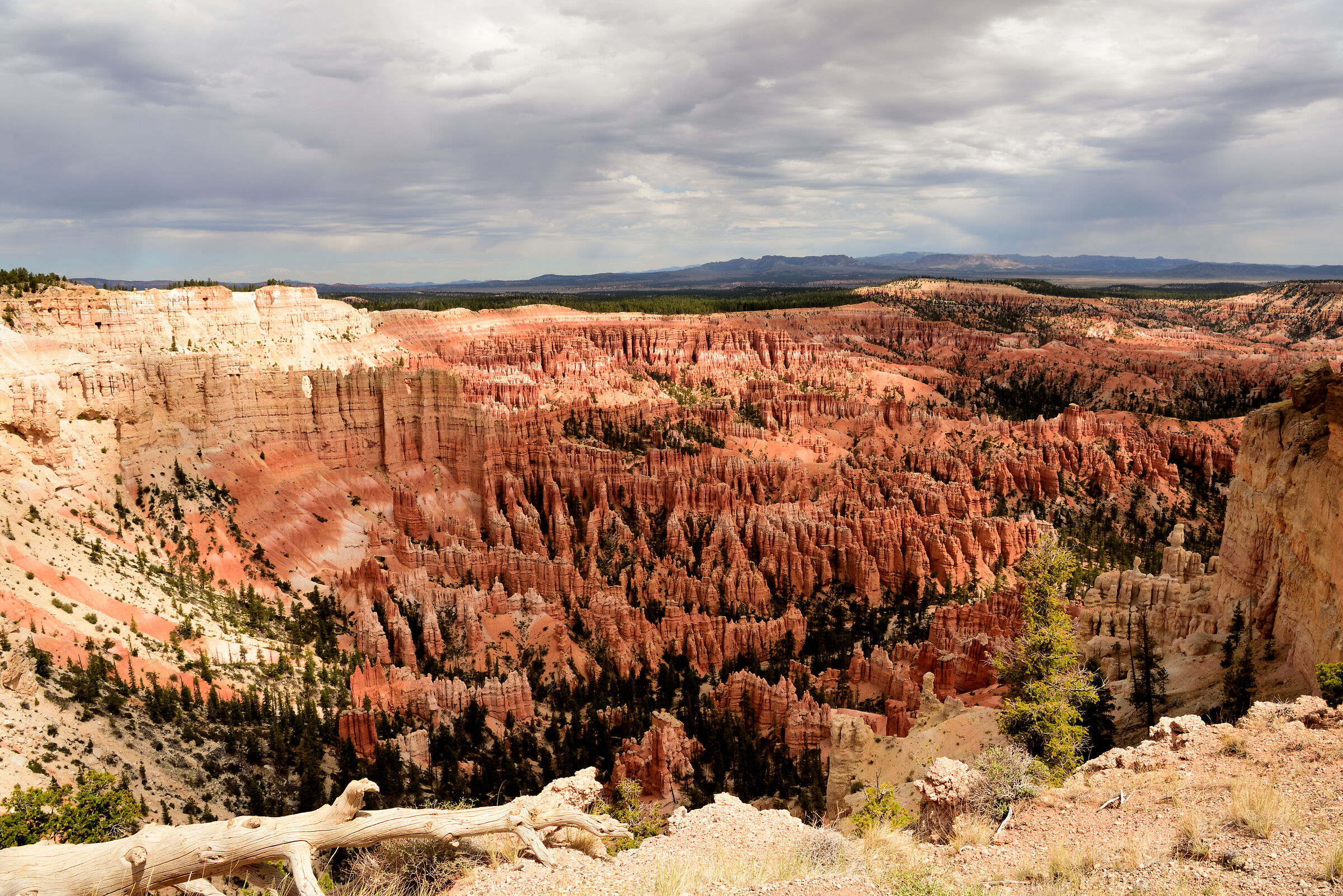 Bryce canyon
