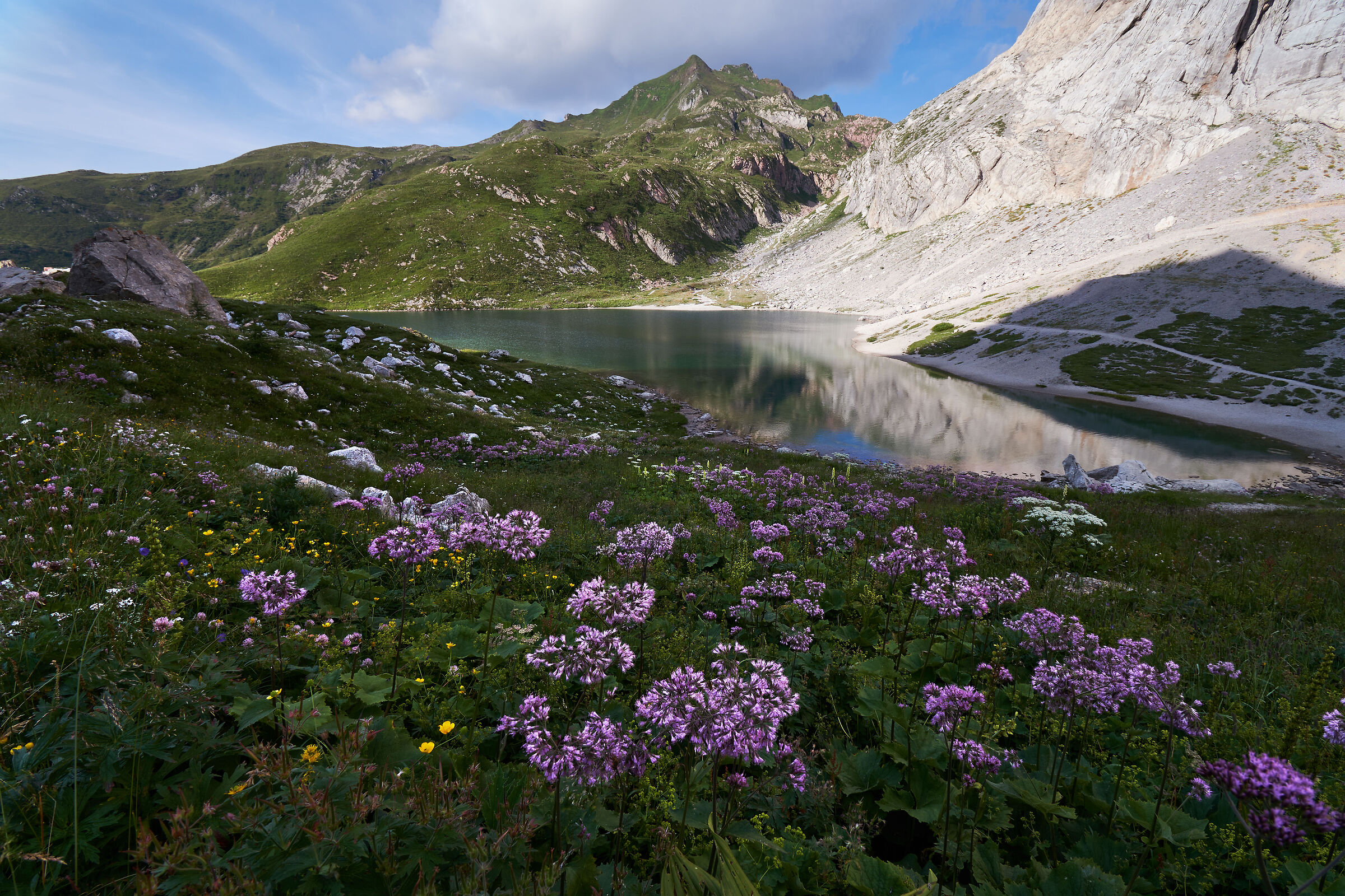 Blooms near Lake Volaja