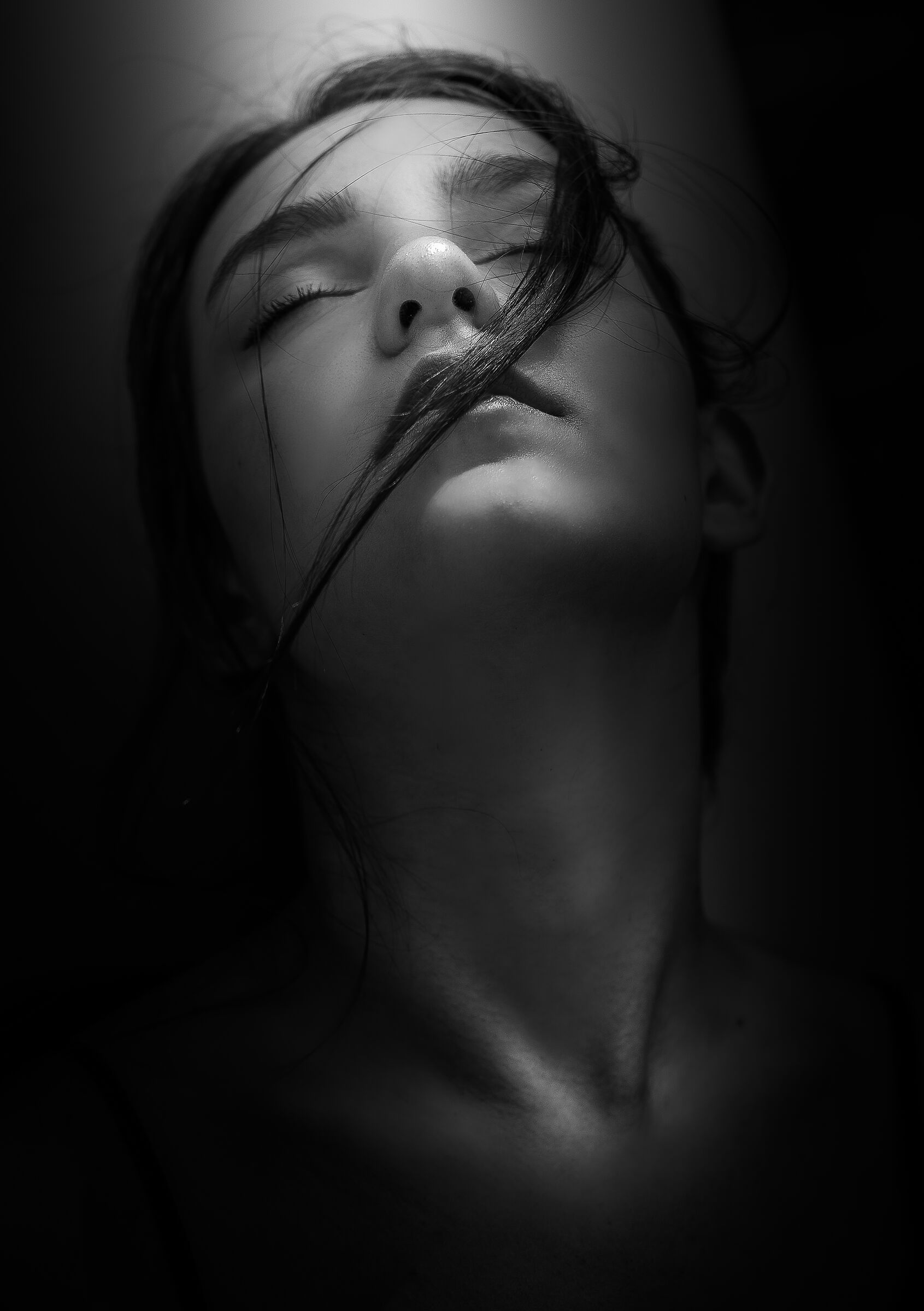 Ritratto di Elisabetta