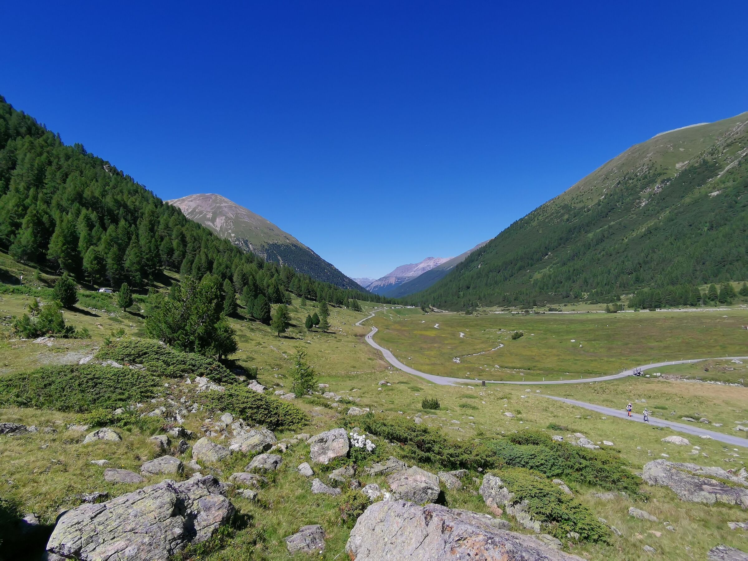 Valle di Livigno