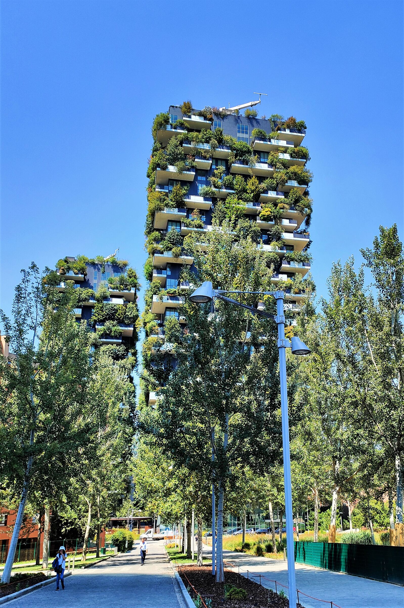 il giardino verticale