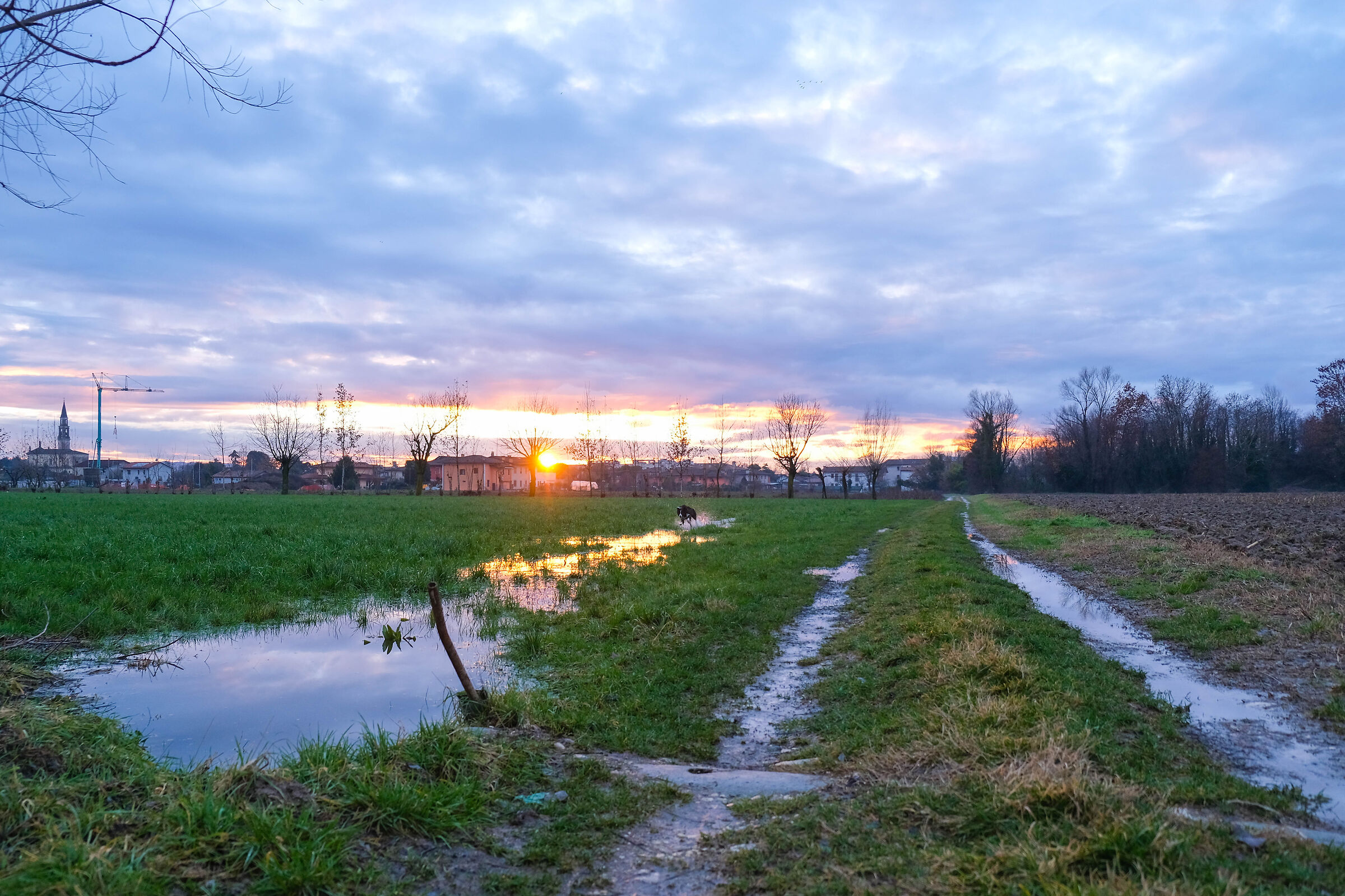 Passeggiando dopo la pioggia
