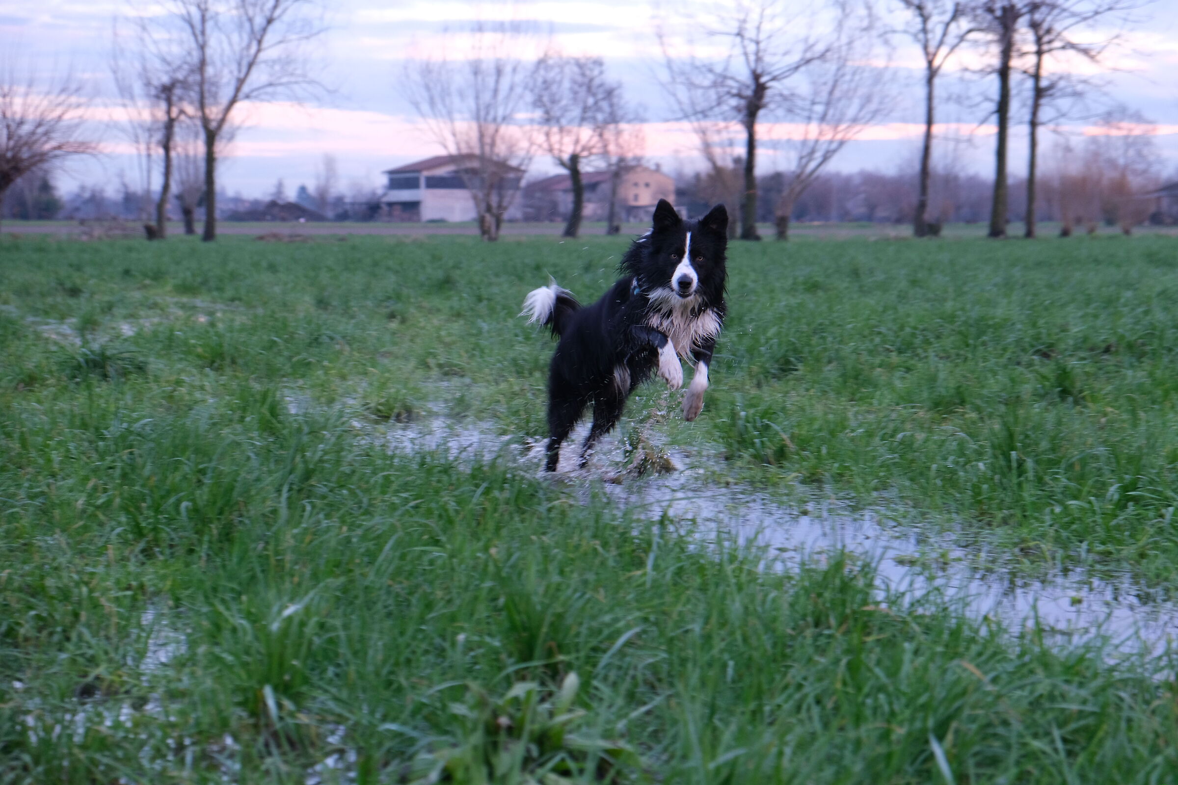 Passeggiando dopo la pioggia 2
