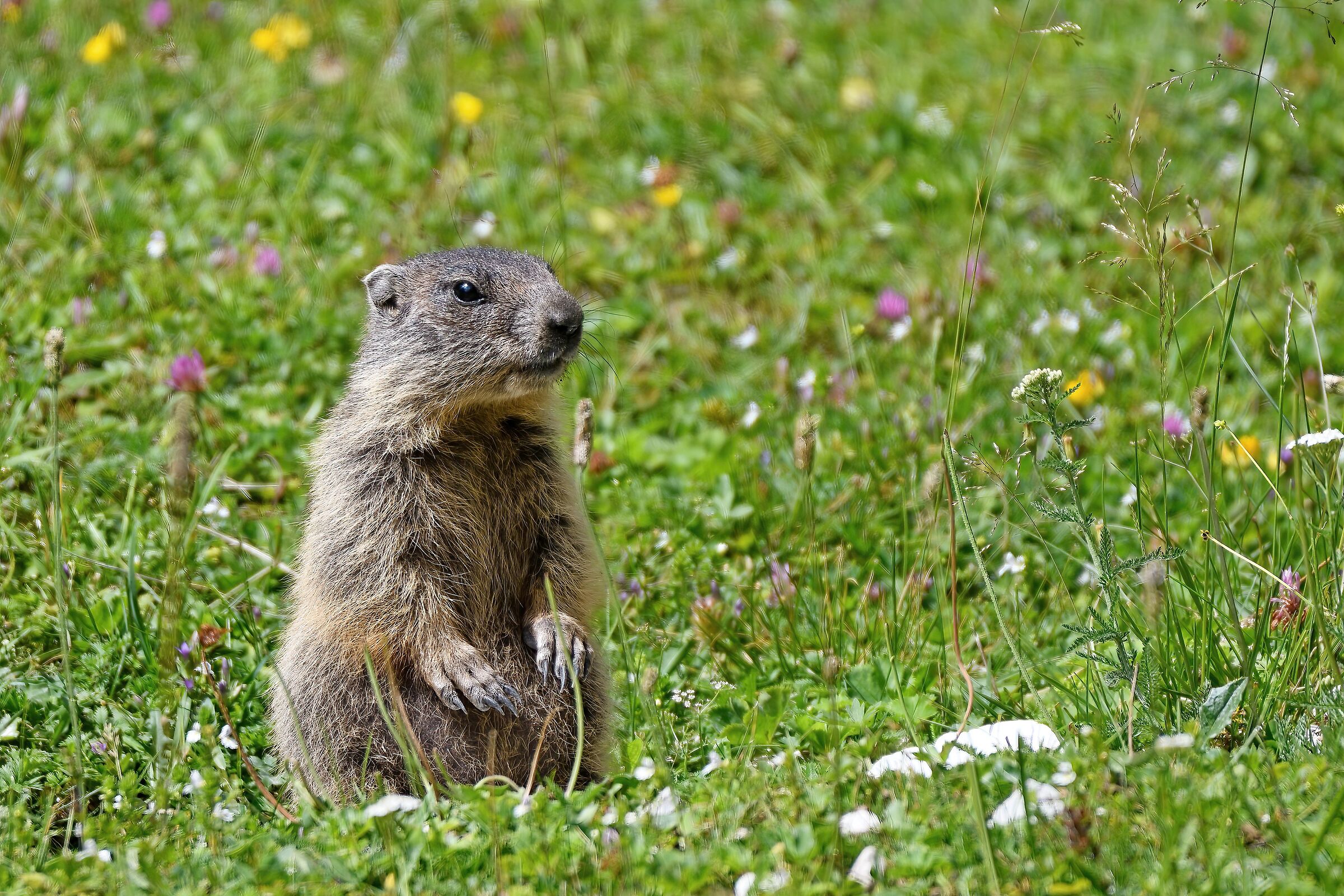 Posing for manicure