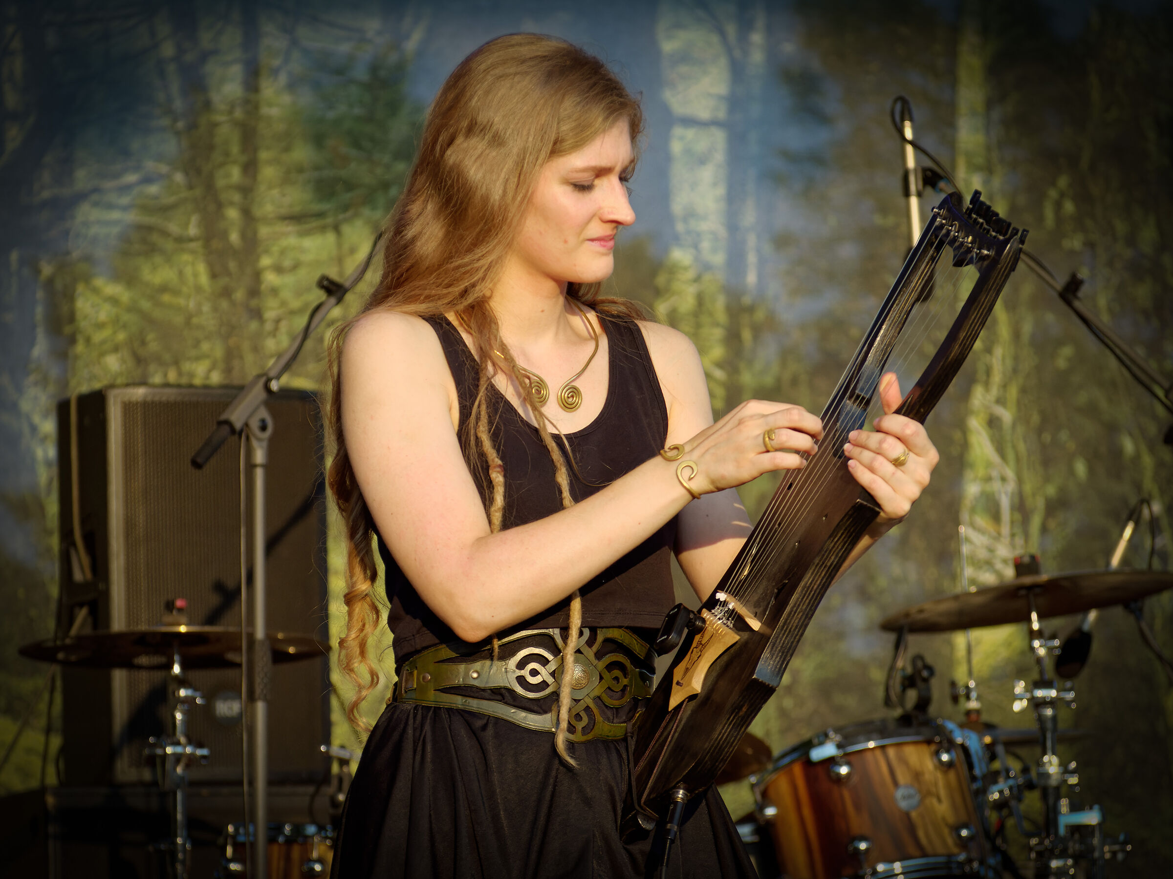 The Harpist of yesteryear