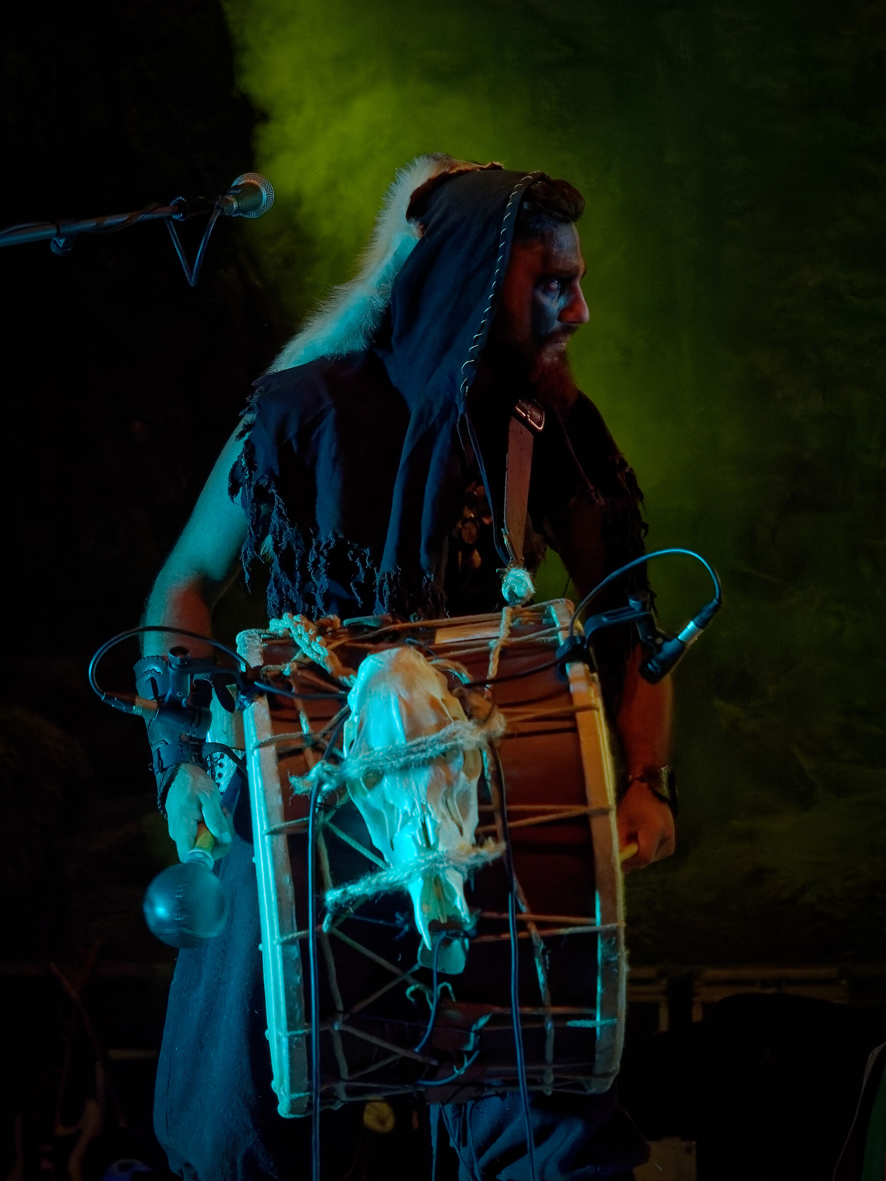 When you are a Shaman but want to be a Bard