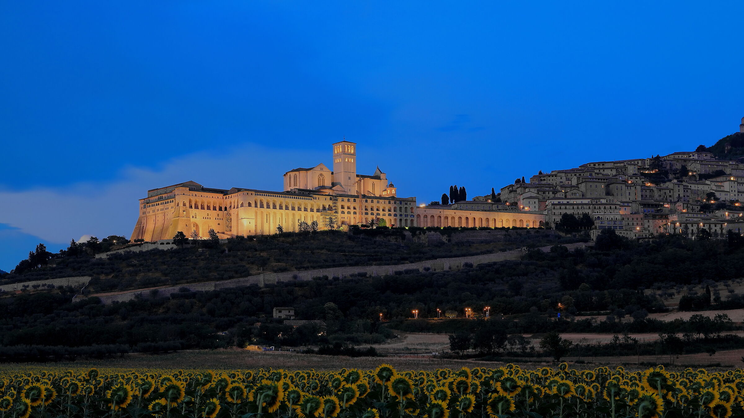 Assisi at the blue hour