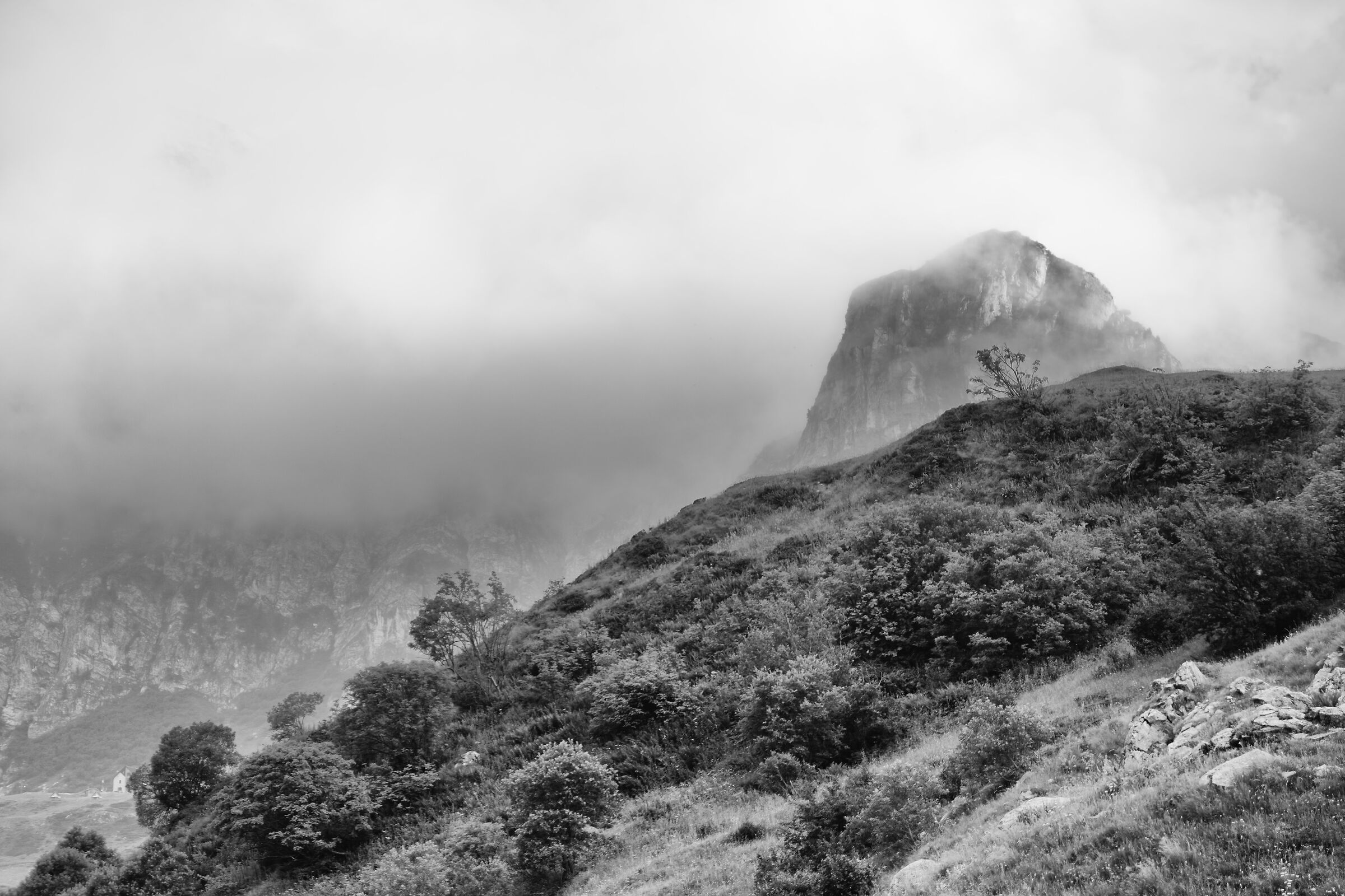 The summit