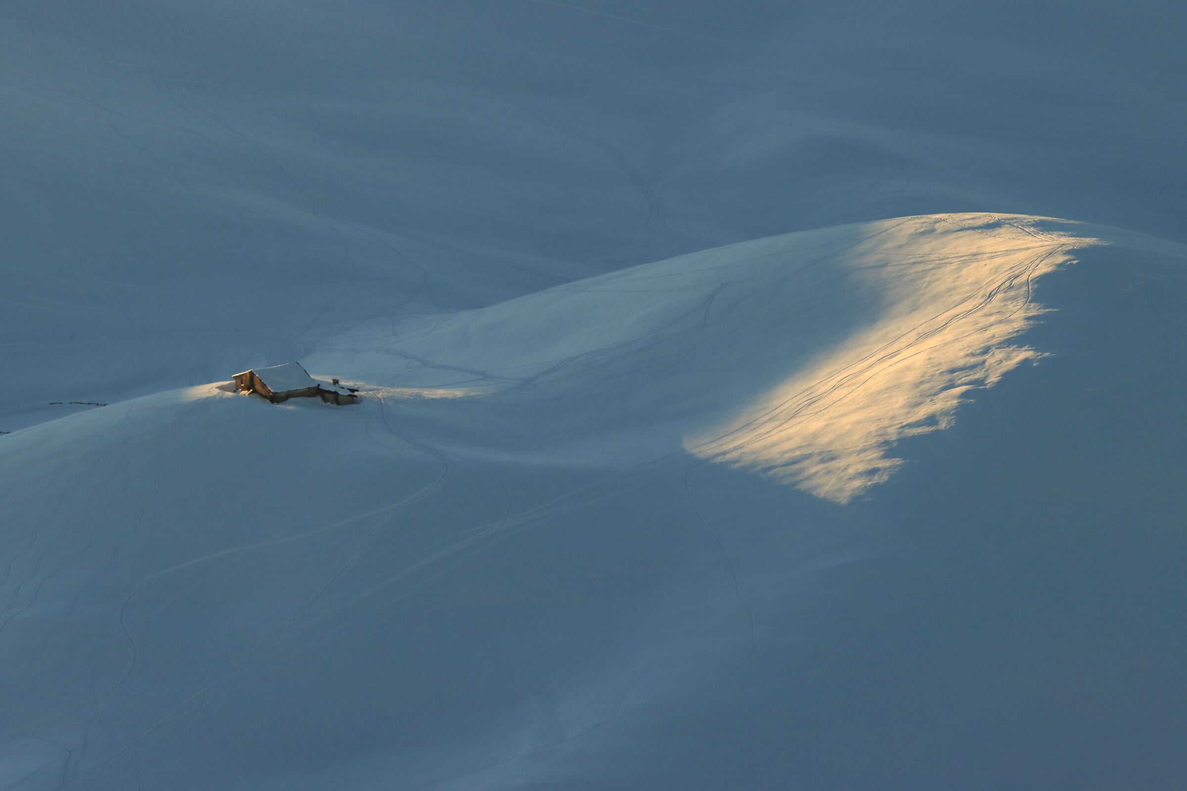 and it was only last year