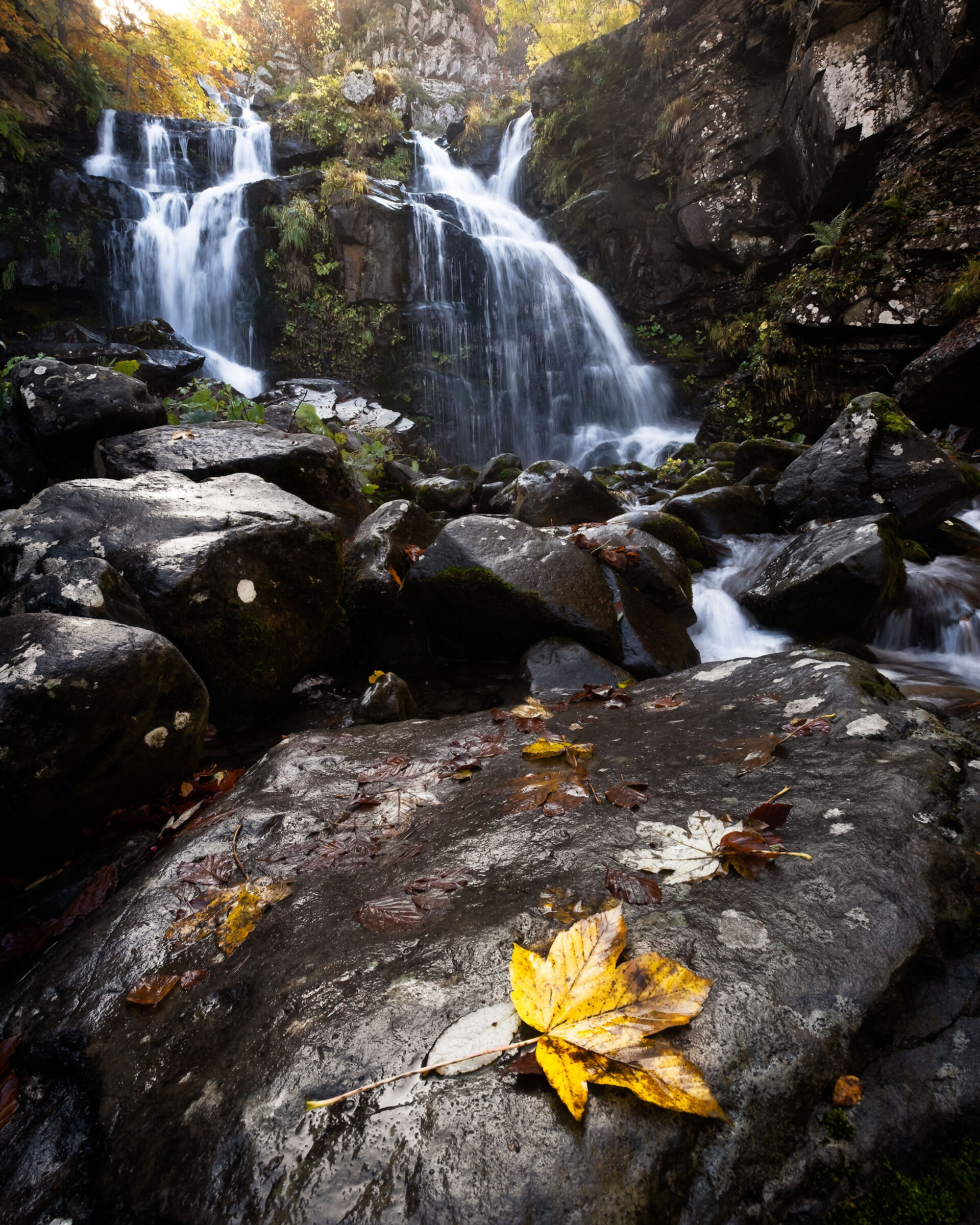 Autumn at Dardagna #3