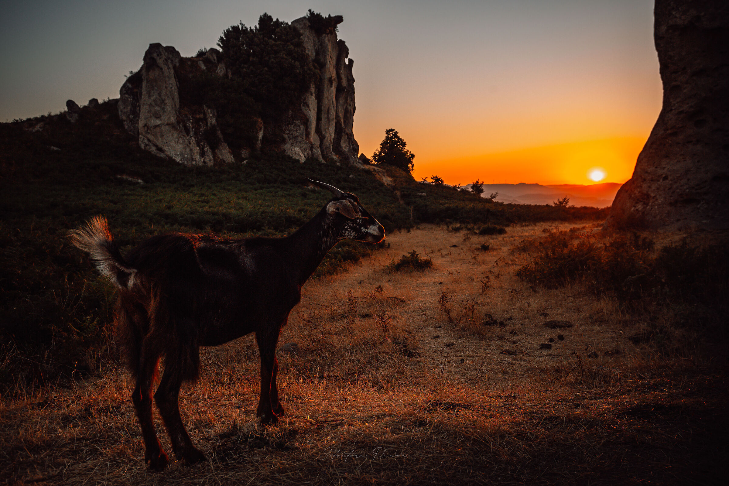 Megaliti Argimusco - Orante
