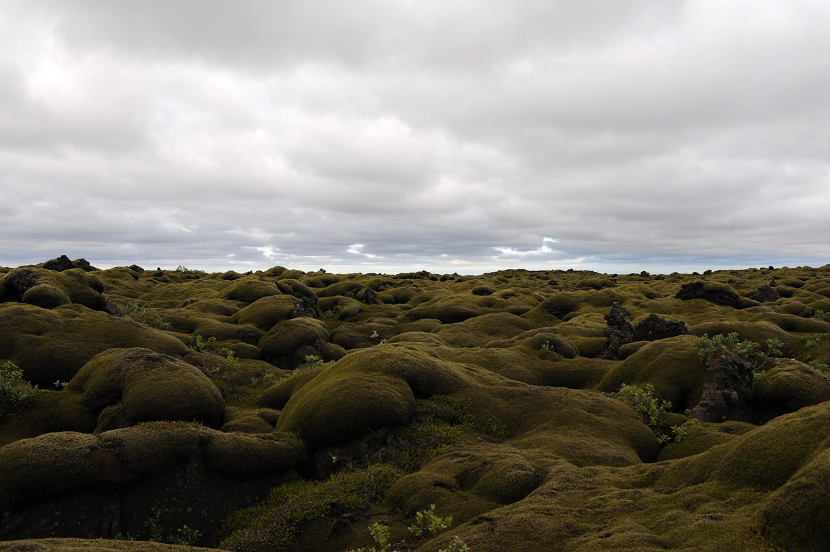 Meraviglie d'Islanda