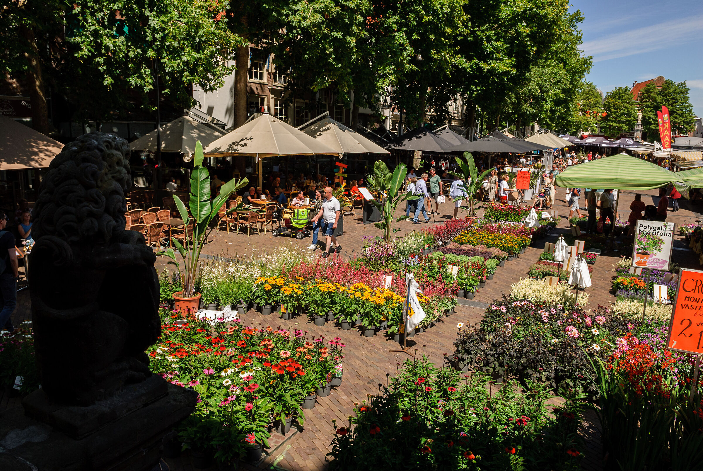 Mercato dei fiori